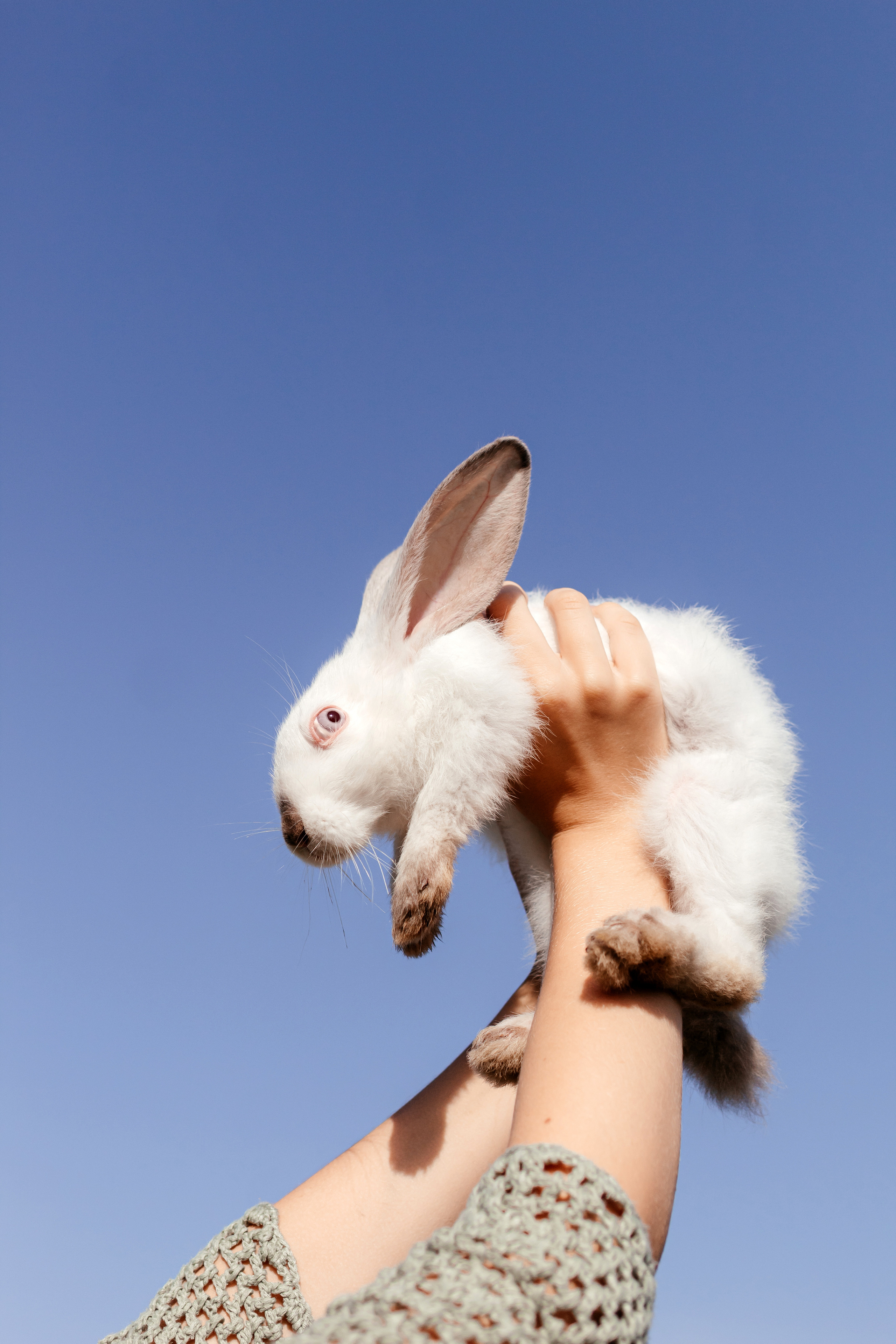 Пушистые друзья. Семейный фотограф в Минске Приболовец Светлана