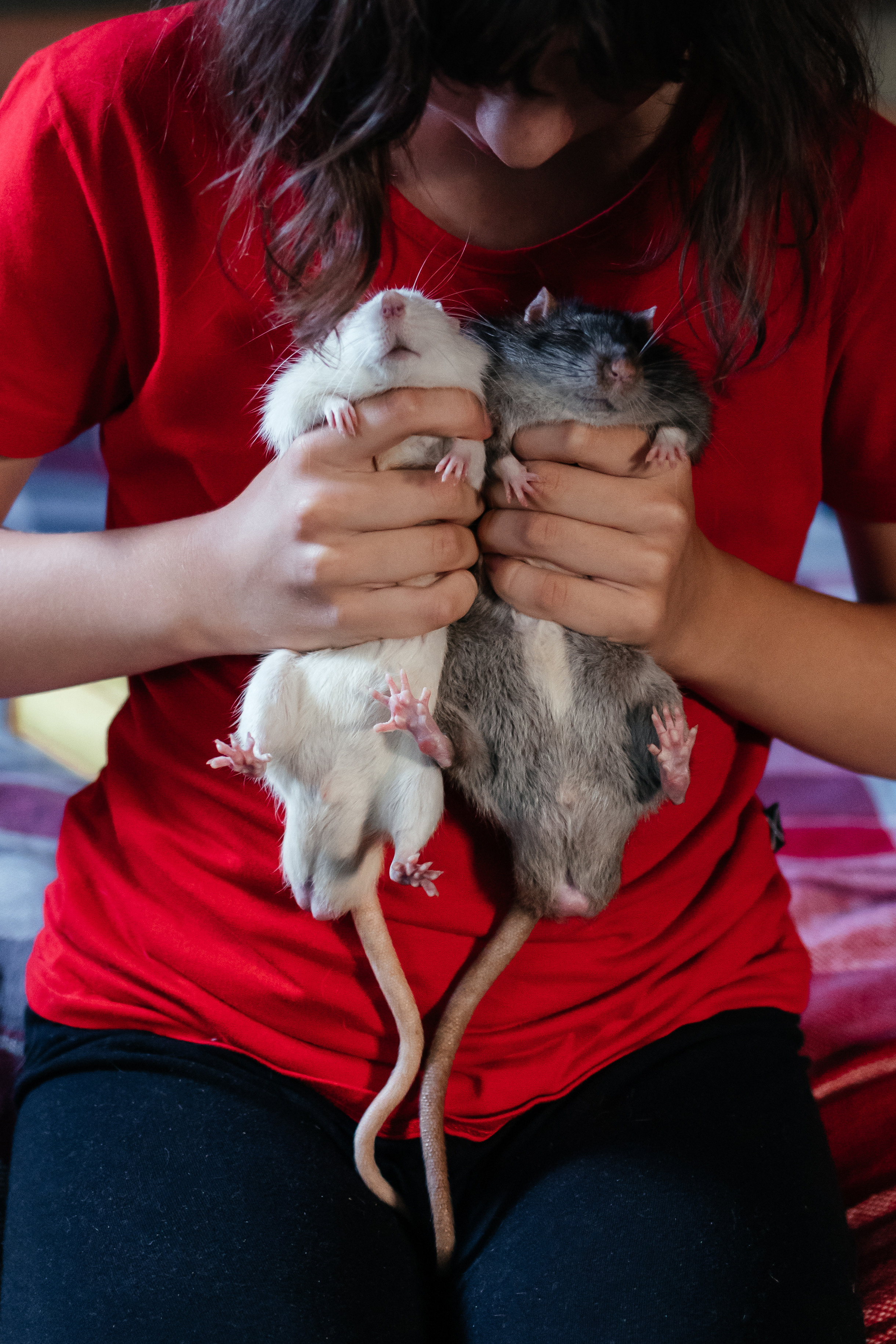 Пушистые друзья. Семейный фотограф в Минске Приболовец Светлана