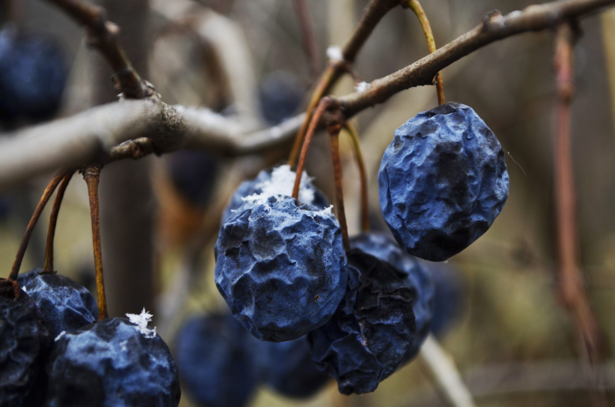 Природа. Анастасия Куц | фотограф | Пермский край