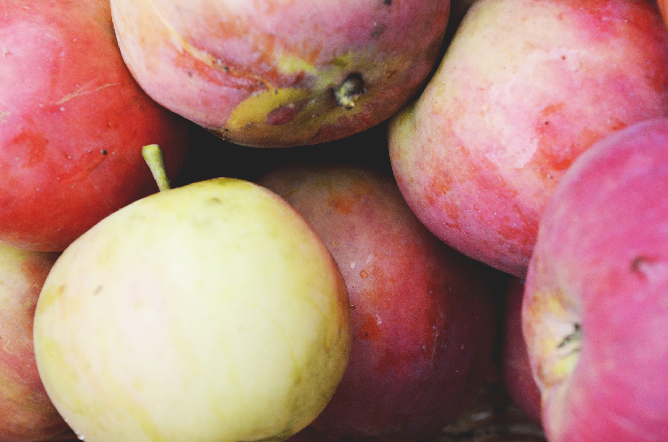 Природа. Анастасия Куц | фотограф | Пермский край