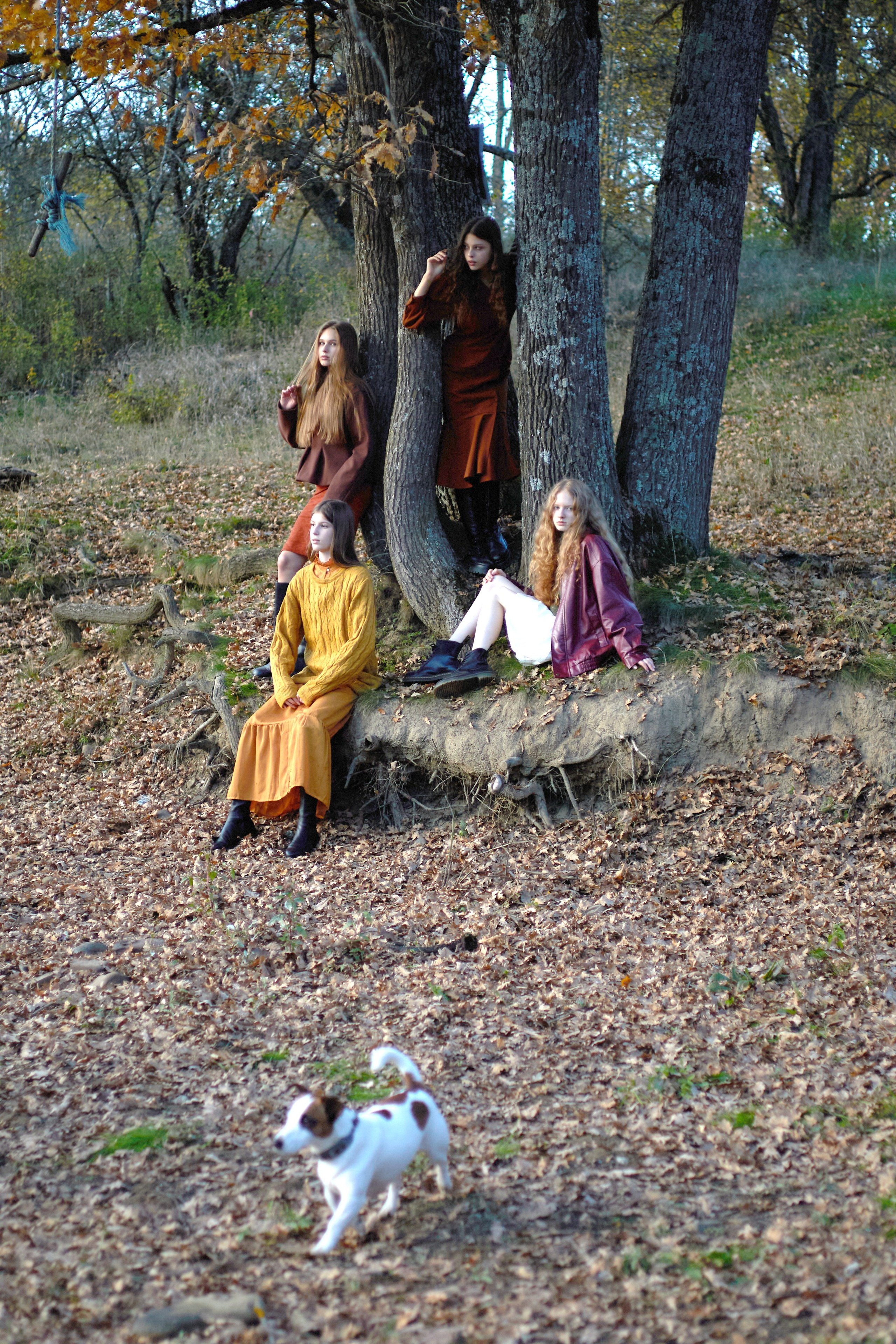 Золотая осень. Фотограф Рябухина Ирина. Г.Краснодар