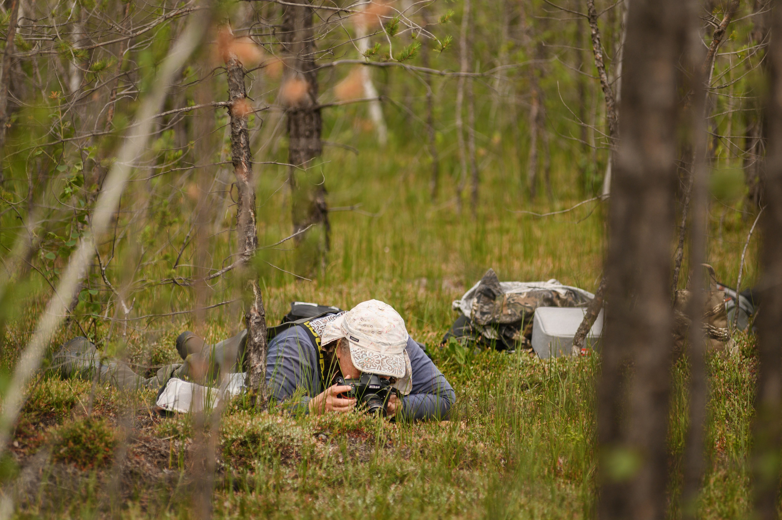 Фотопленэр на болоте. Фотообъединение Самарского областного отделения Союза журналистов России