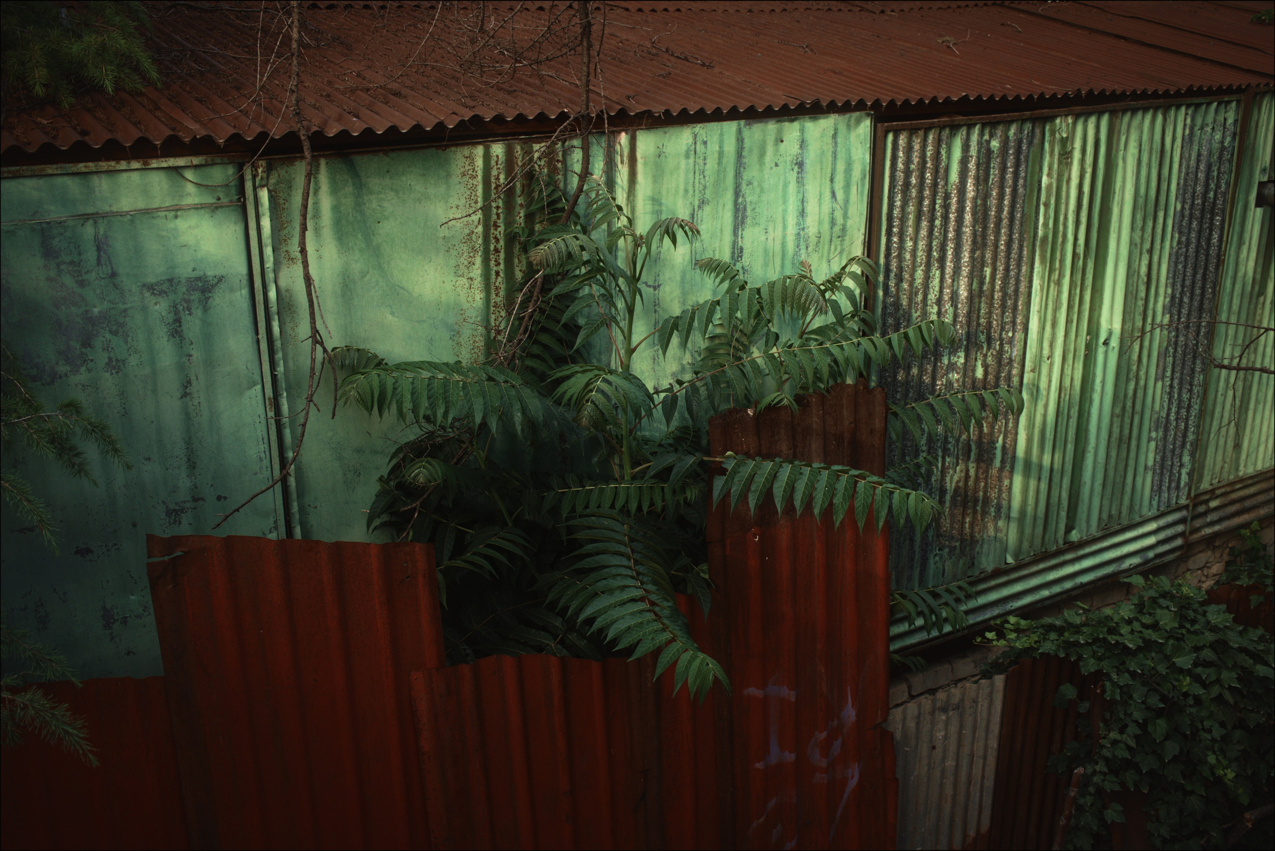 Streets of Sakartvelo p.14. Viktor Garshnep Documentary Photographer