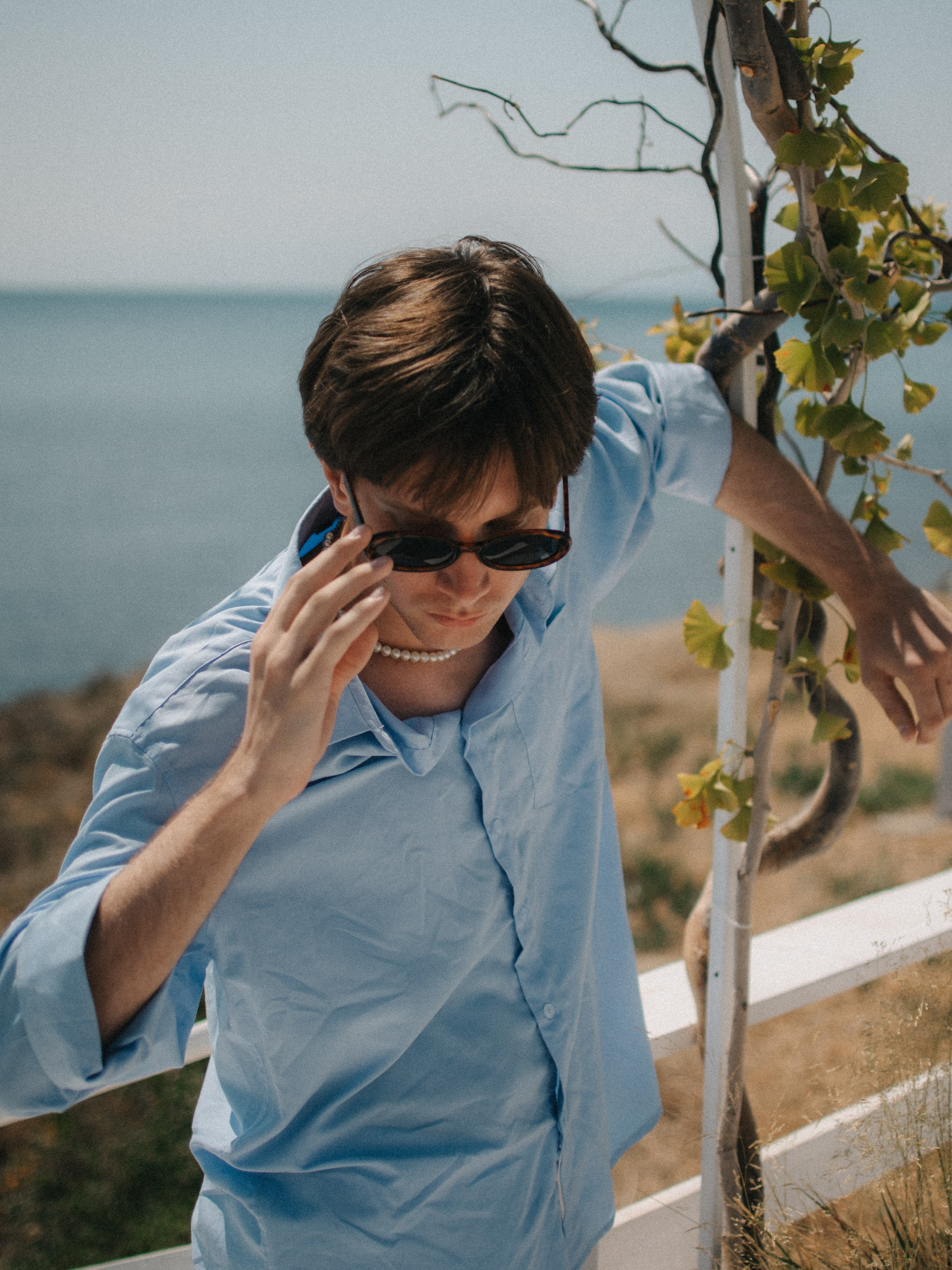 Вася. Ph.proulints