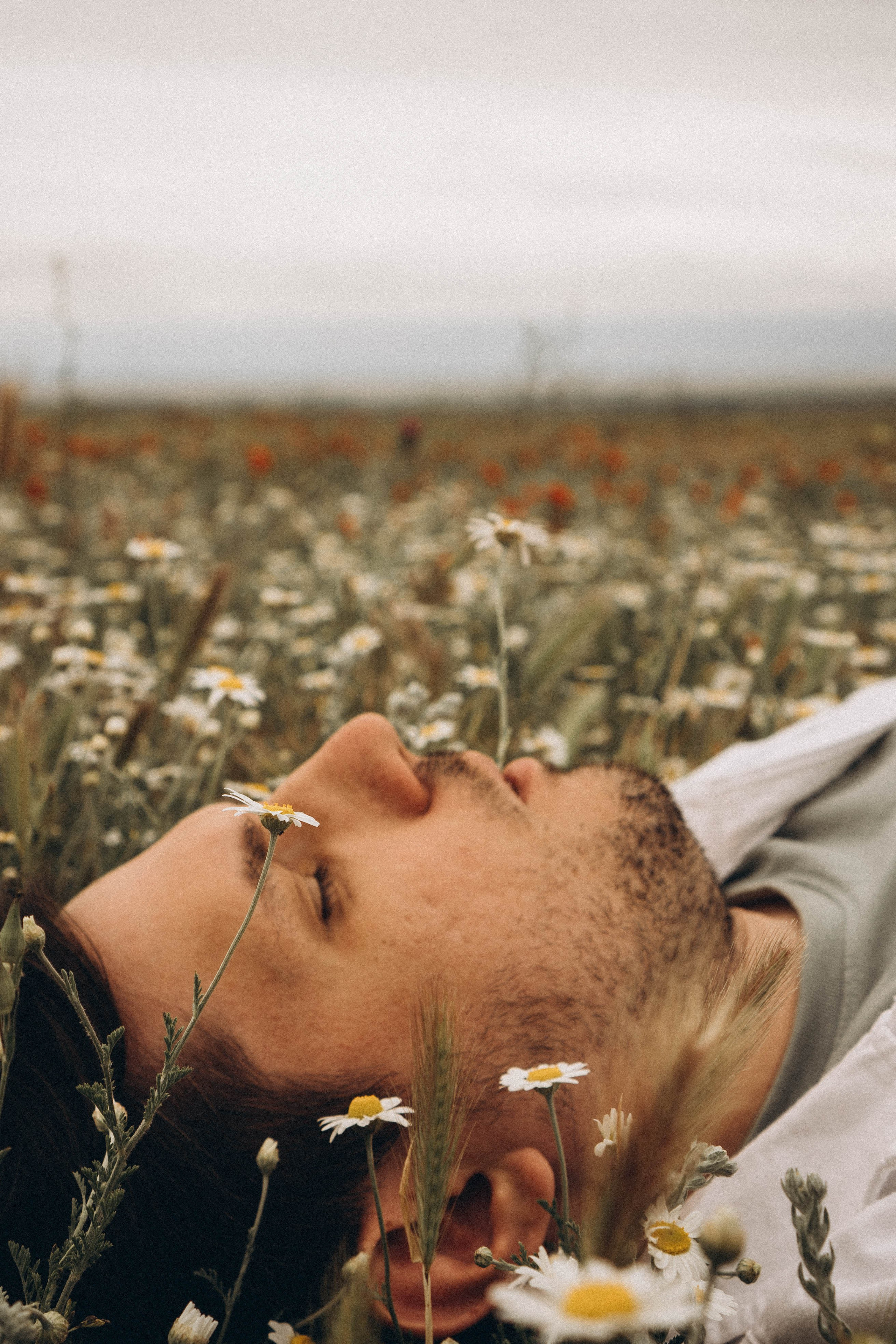 Маки. Профессиональный фотограф, Санкт-Петербург — Виктория Богомолова