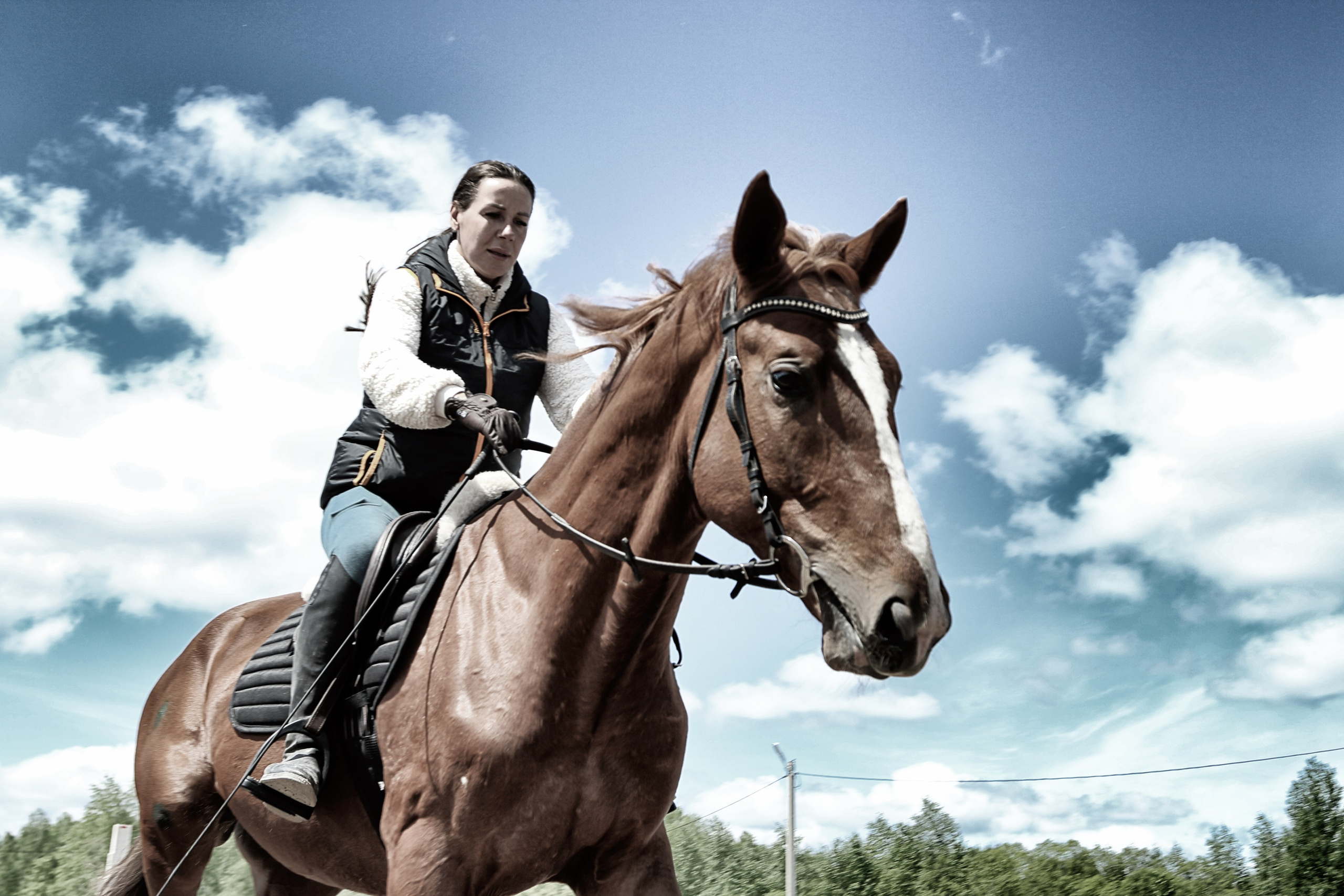 Лошади «Каскад» и «Брилиант». Алиса Томшина — Фотограф / Видеограф