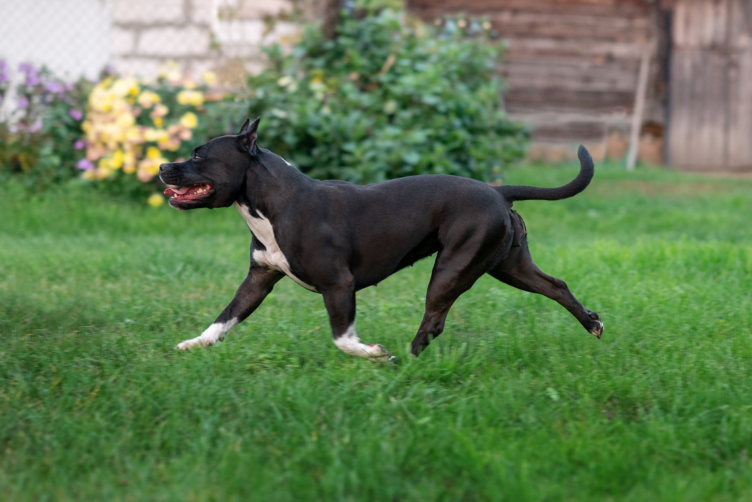 ЖЫВЁЛЫ. Вясельны і партрэтны фатограф Сяргей Клемянок