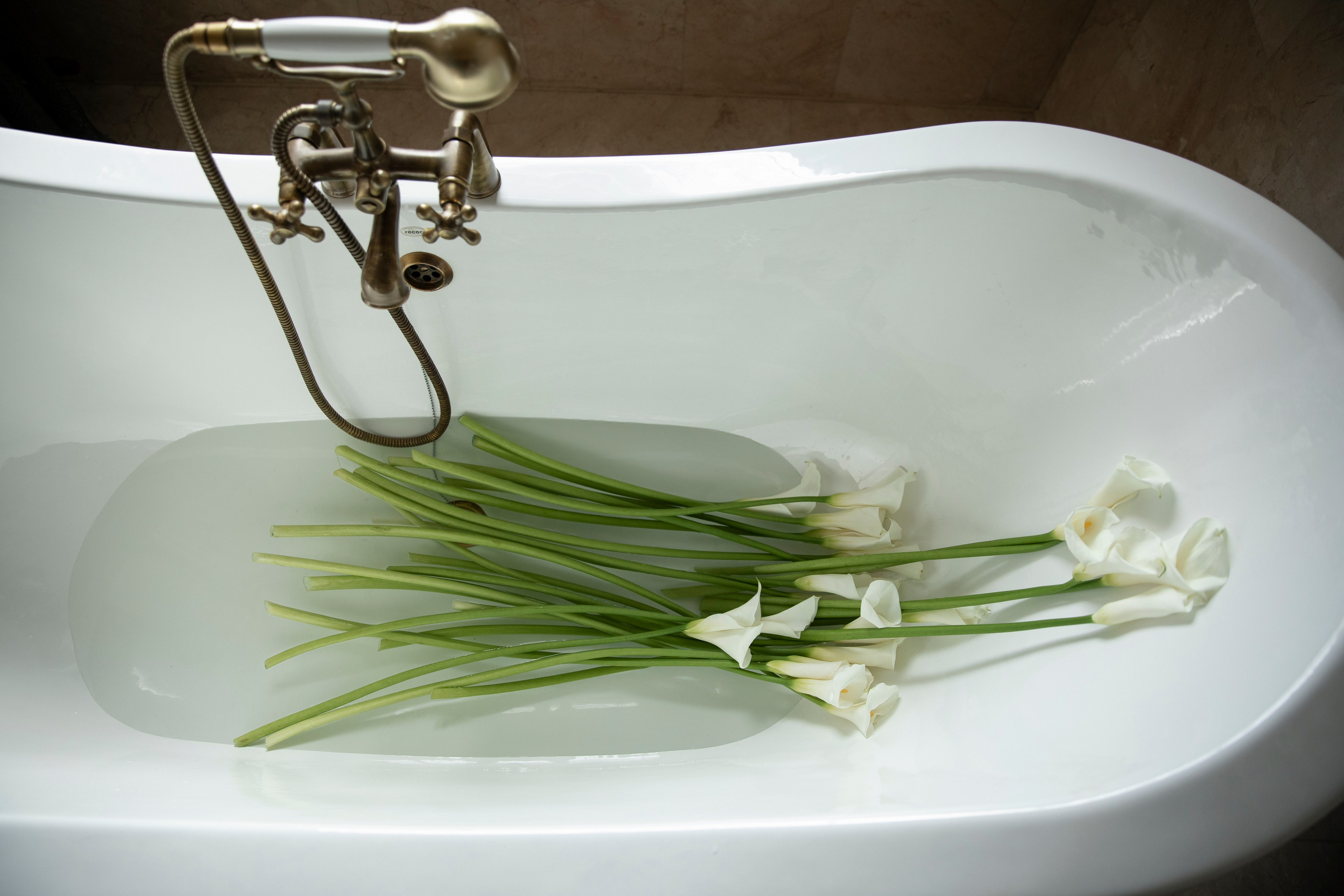 Алина и Роман. Свадебный и портретный фотограф