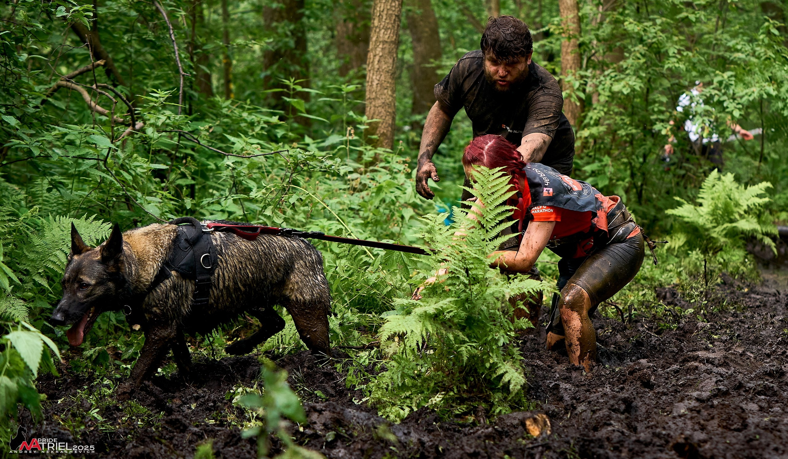 Russian Extreme Dog Trail — 2025