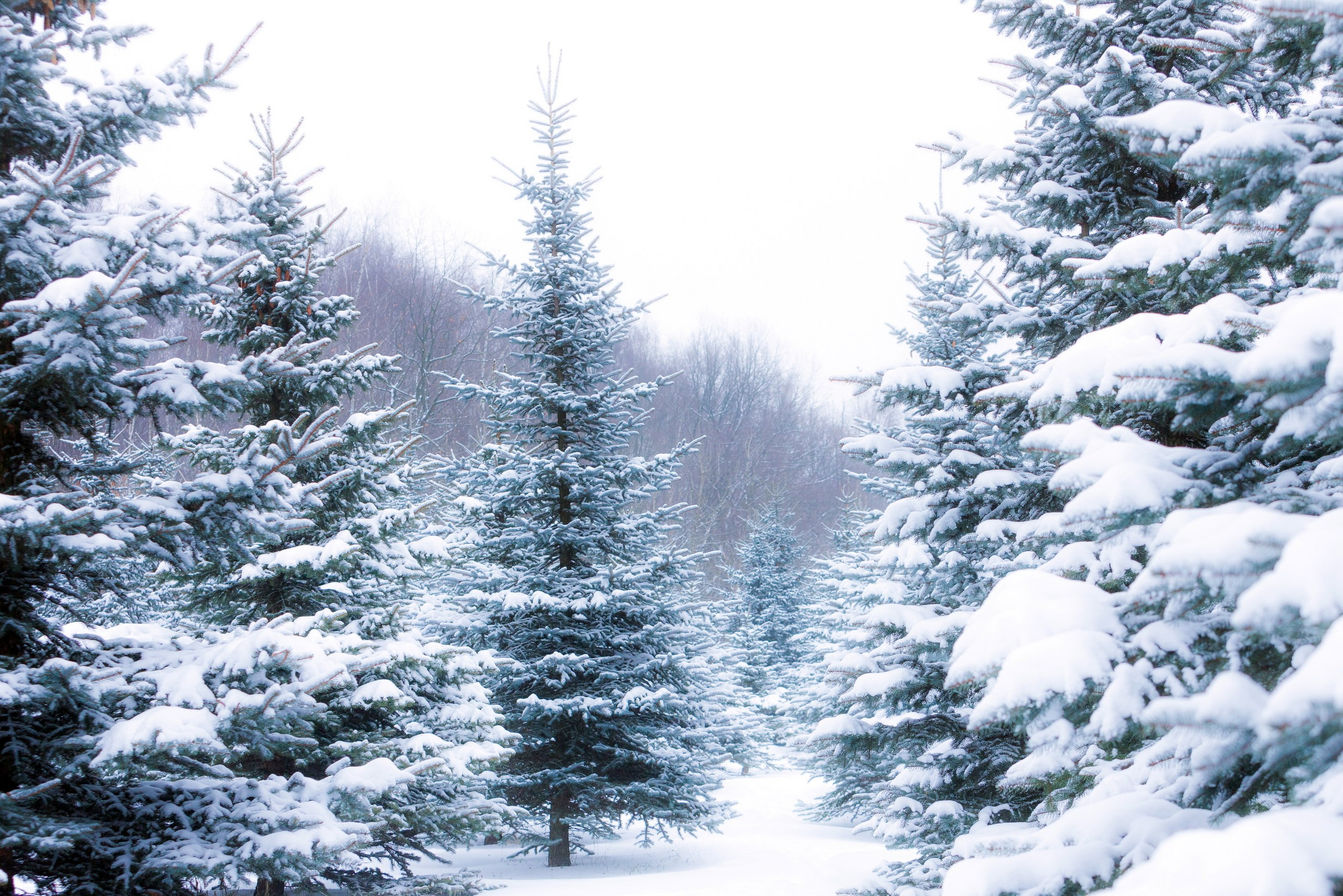 Пейзаж — галерея NATRIEL