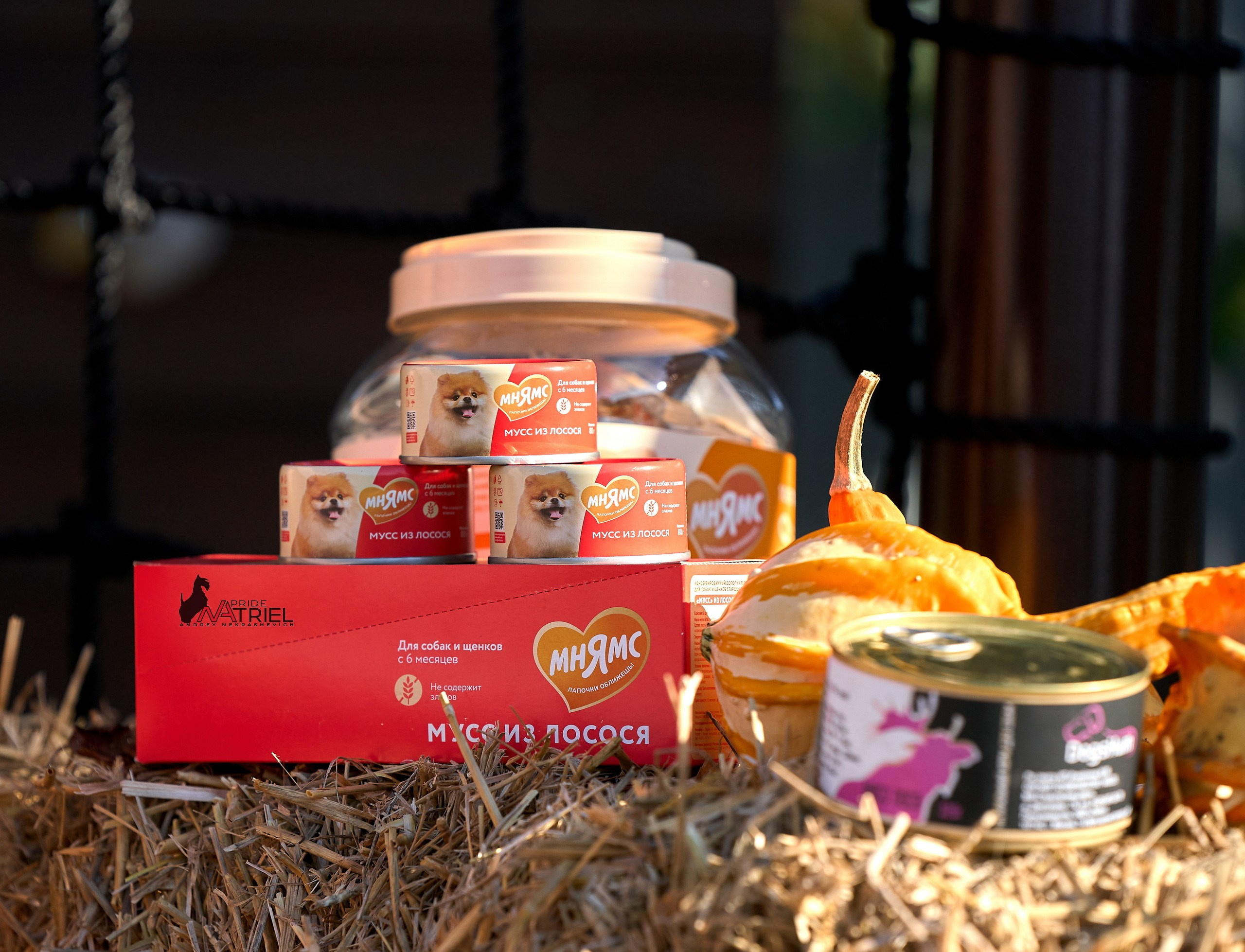 Предметная съемка — галерея NATRIEL