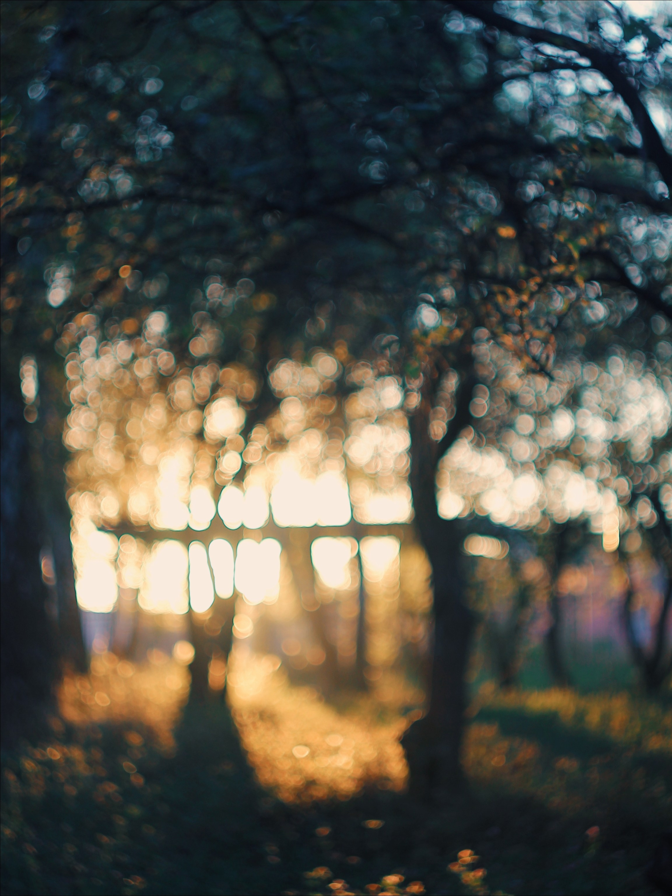 Эфемерность моментов. С любовью, фотохудожник