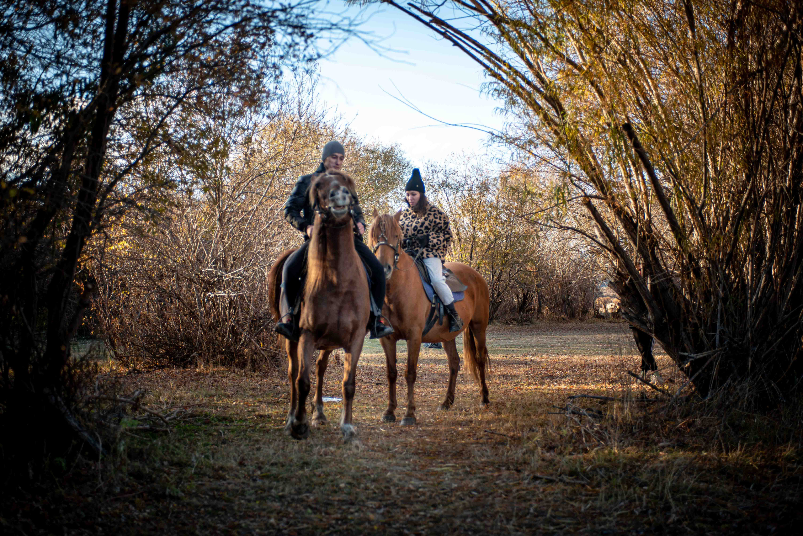 Конная прогулка. Портретный и Репортажный фотограф в Улан-Удэ. Анатолий Разгуляев