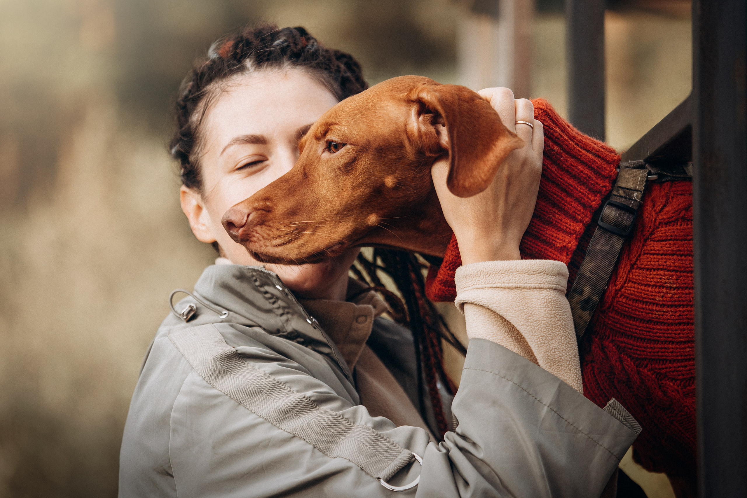 Трисс, Эста, Яся и их семья. Фотограф — Анималист | Санкт-Петербург