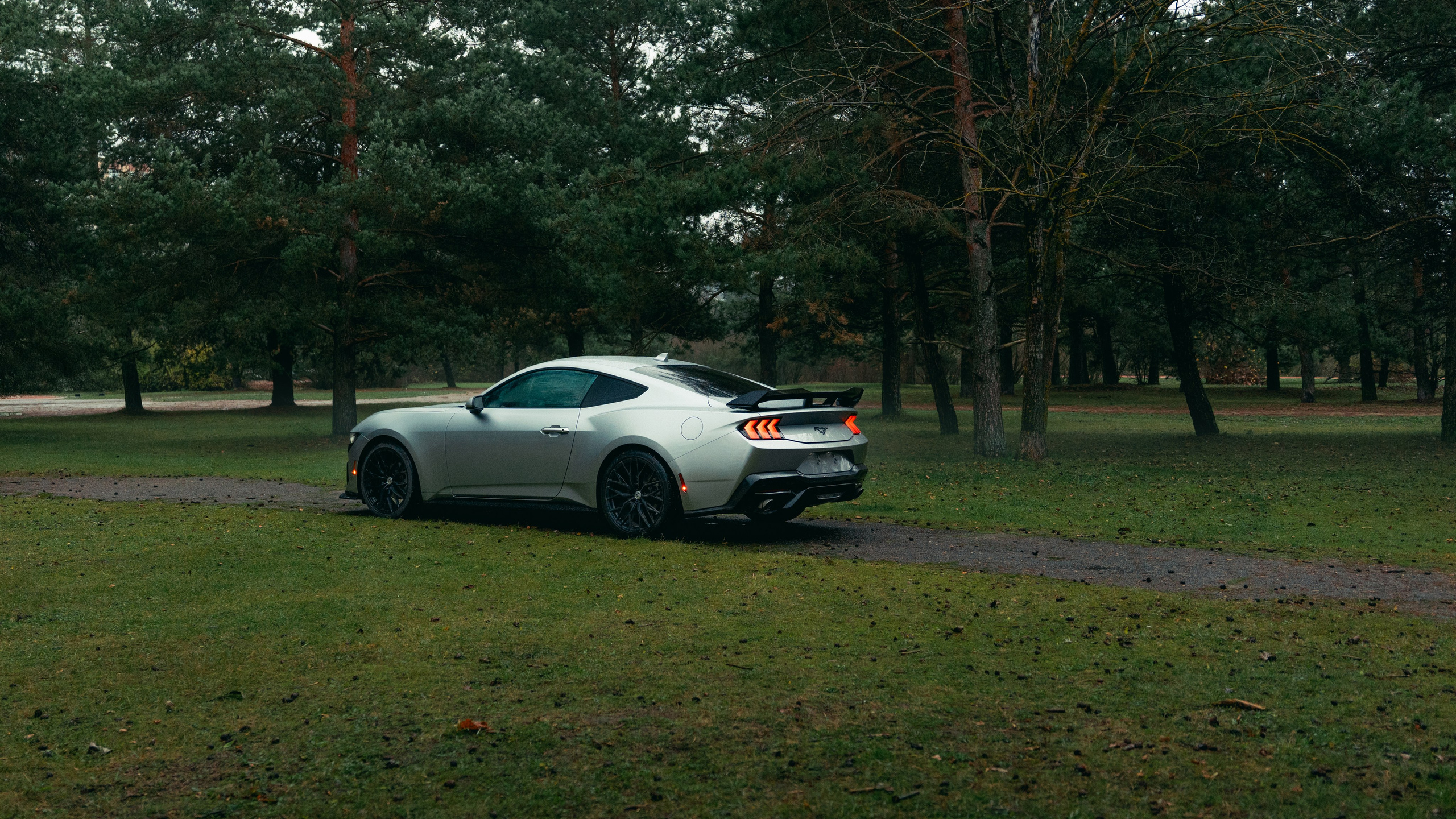 Фотографии Ford Mustang