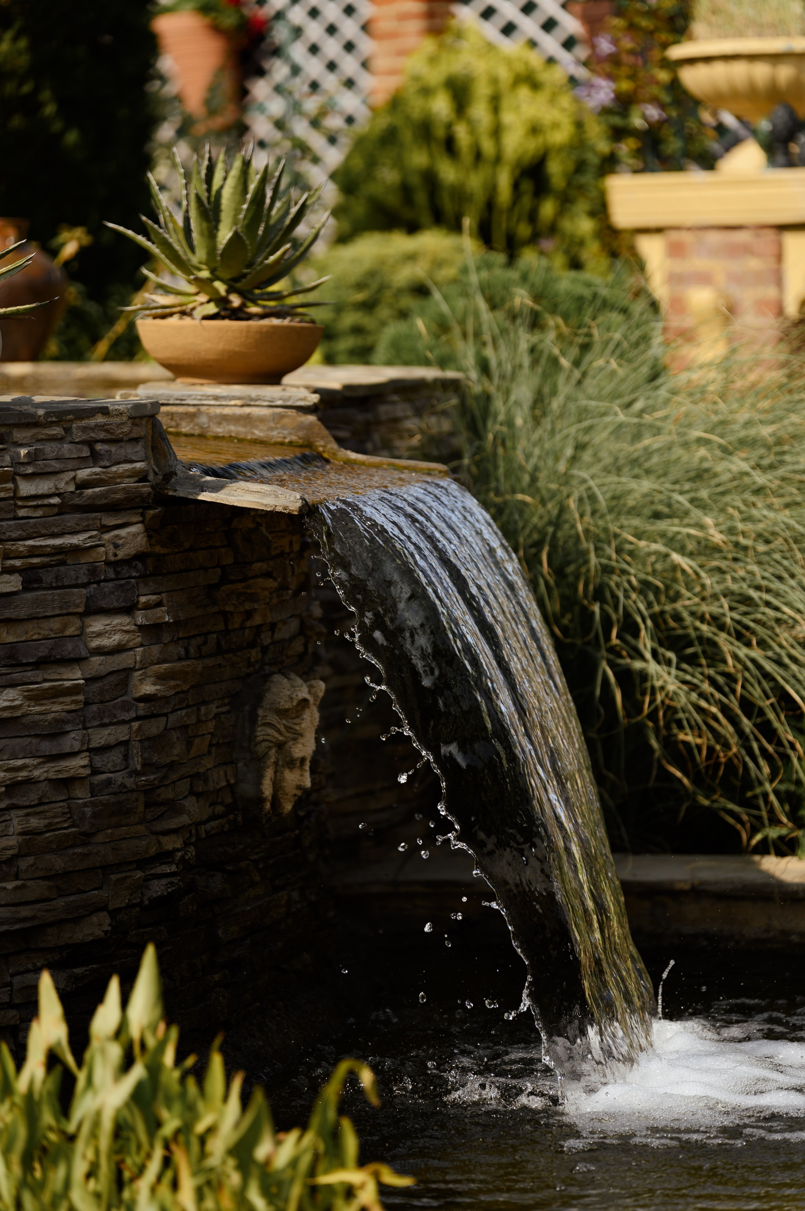 Тимур и Анжелика. Свадебный фотограф и видеограф