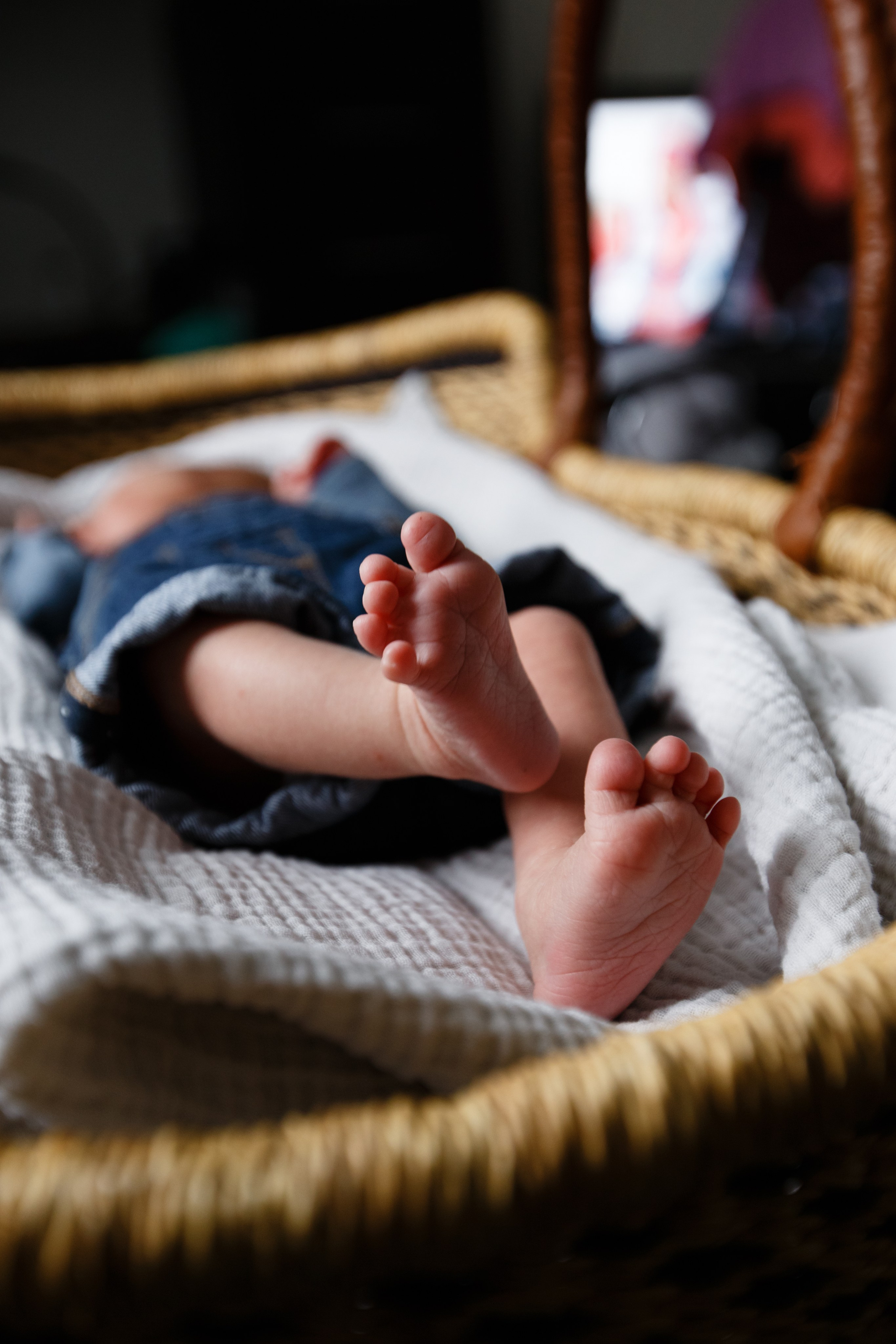 Даня. Семейный фотограф Фрязино Зрячева Кристина