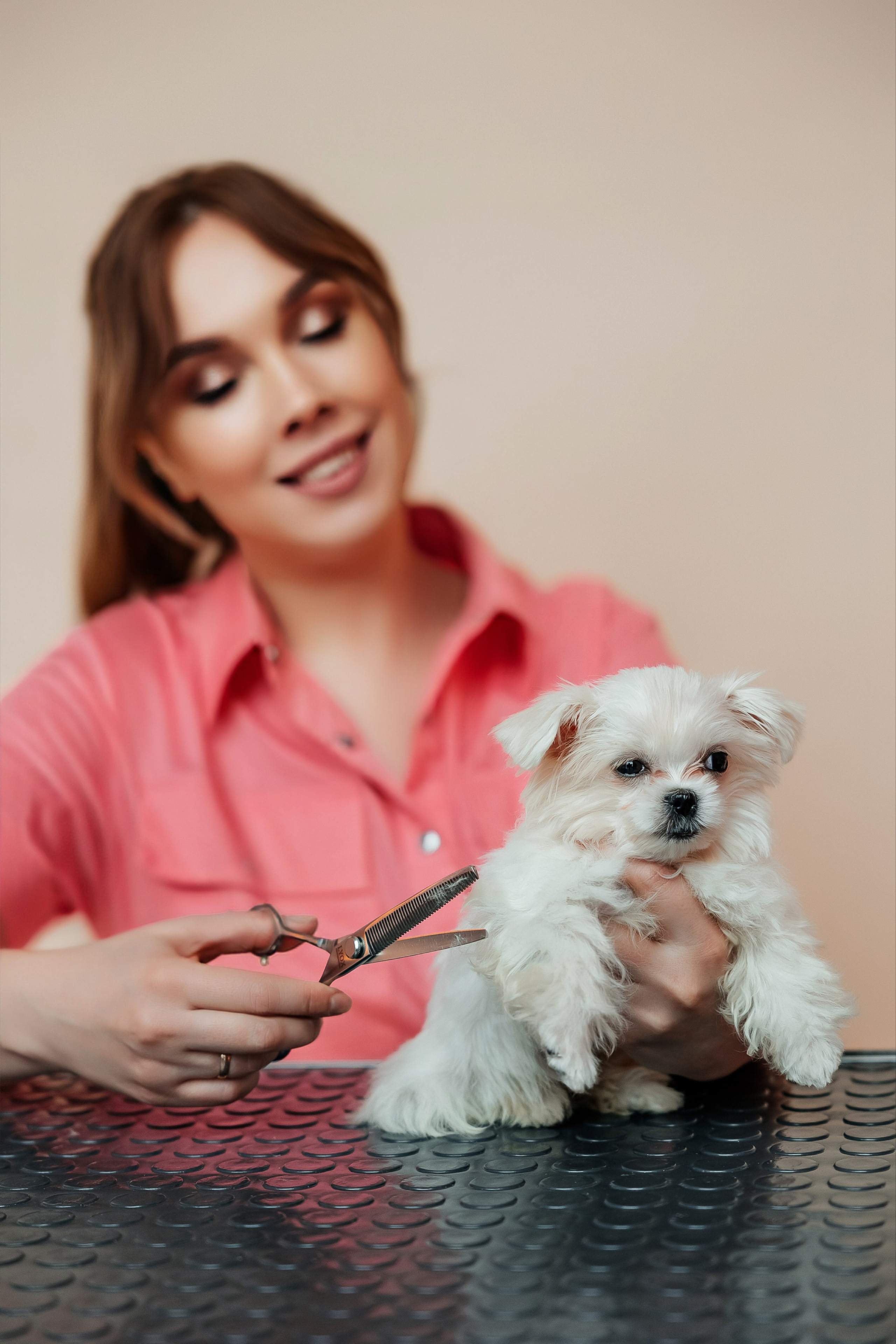 Контент съёмка для грумера. СВАДЕБНЫЙ ФОТОГРАФ НАТАЛИКА