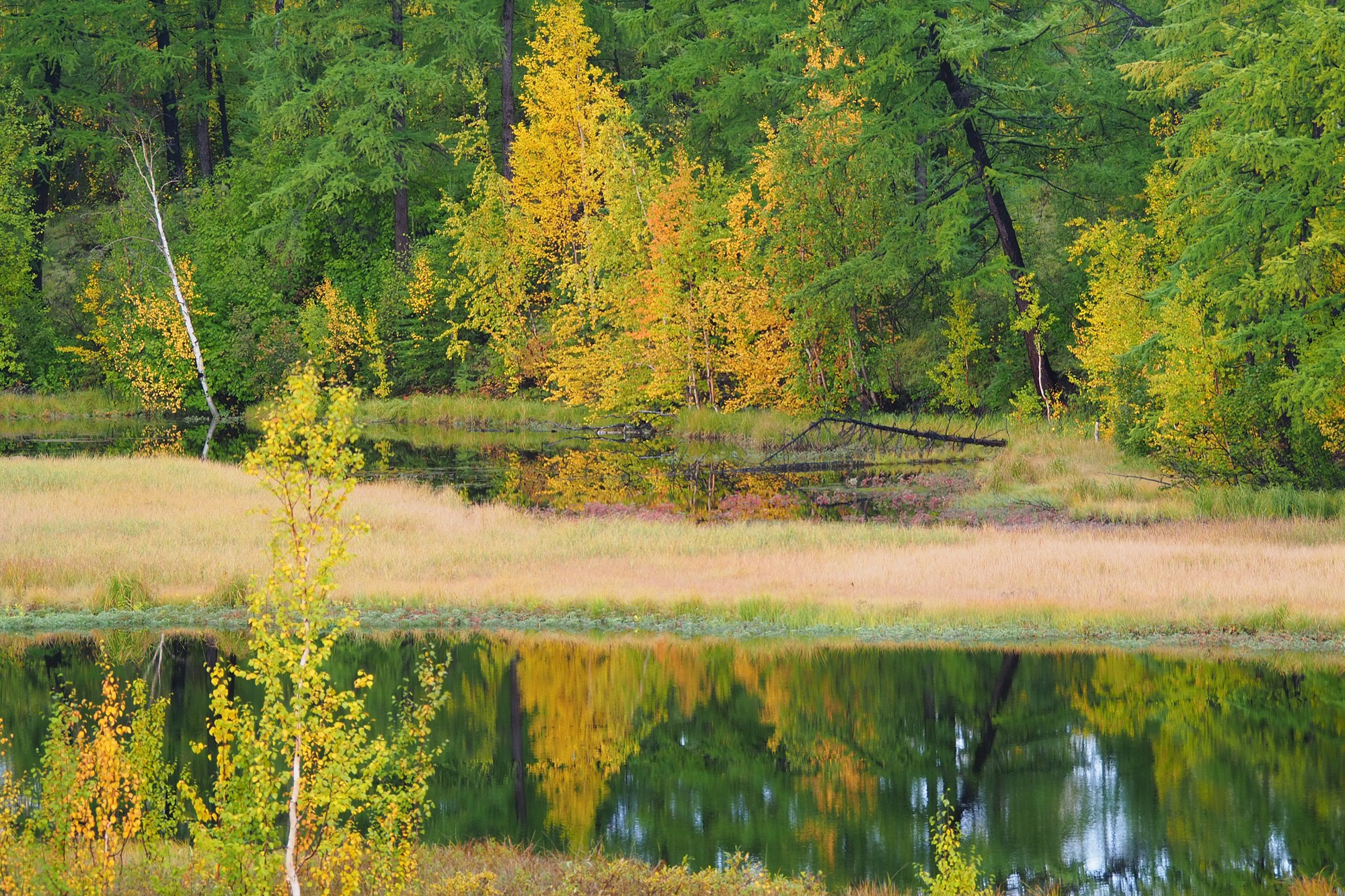Природа.Осень. Талнах.рф