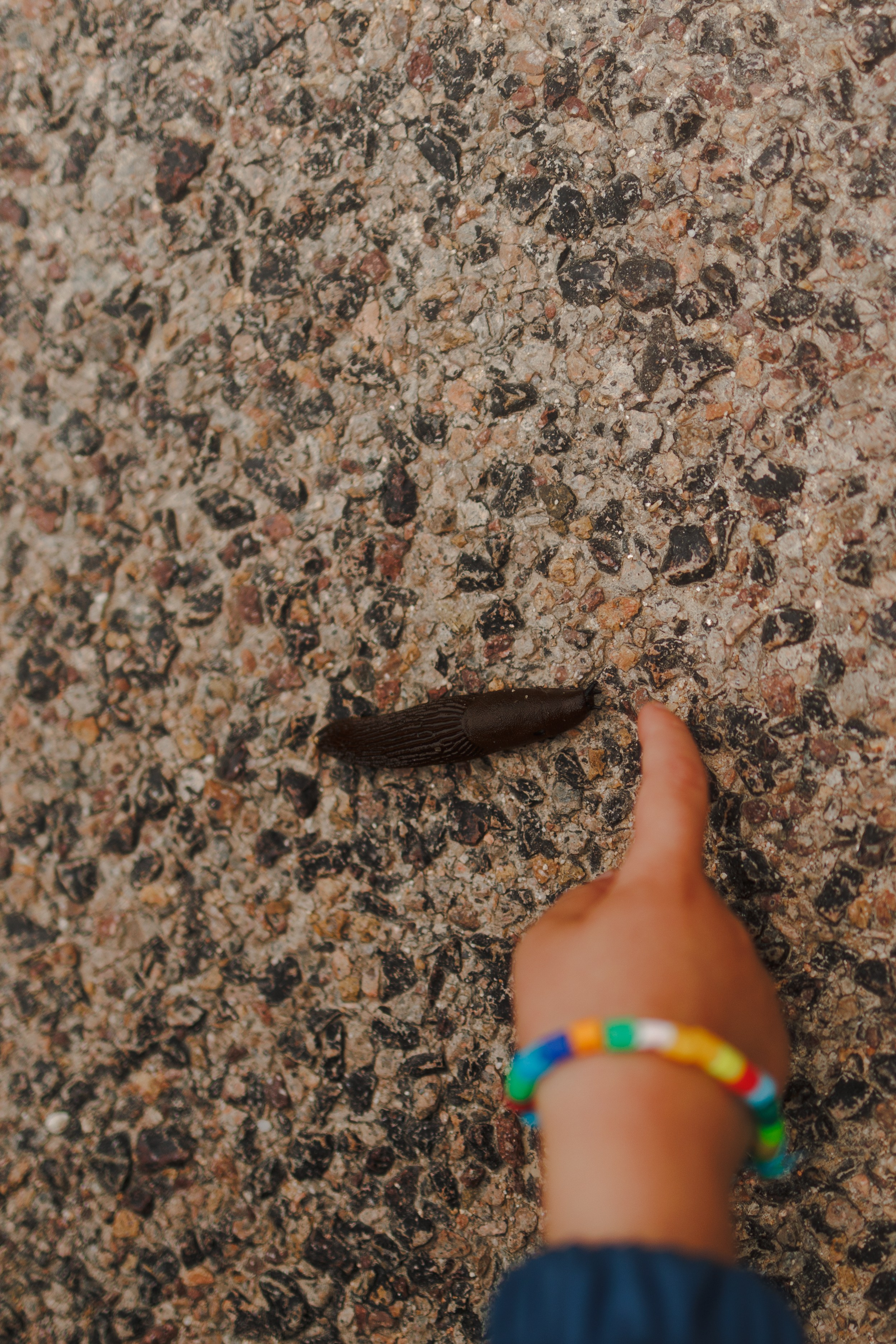 Марианна и Габриэль. Семейный и детский фотограф в Королёве Шарутина Лидия