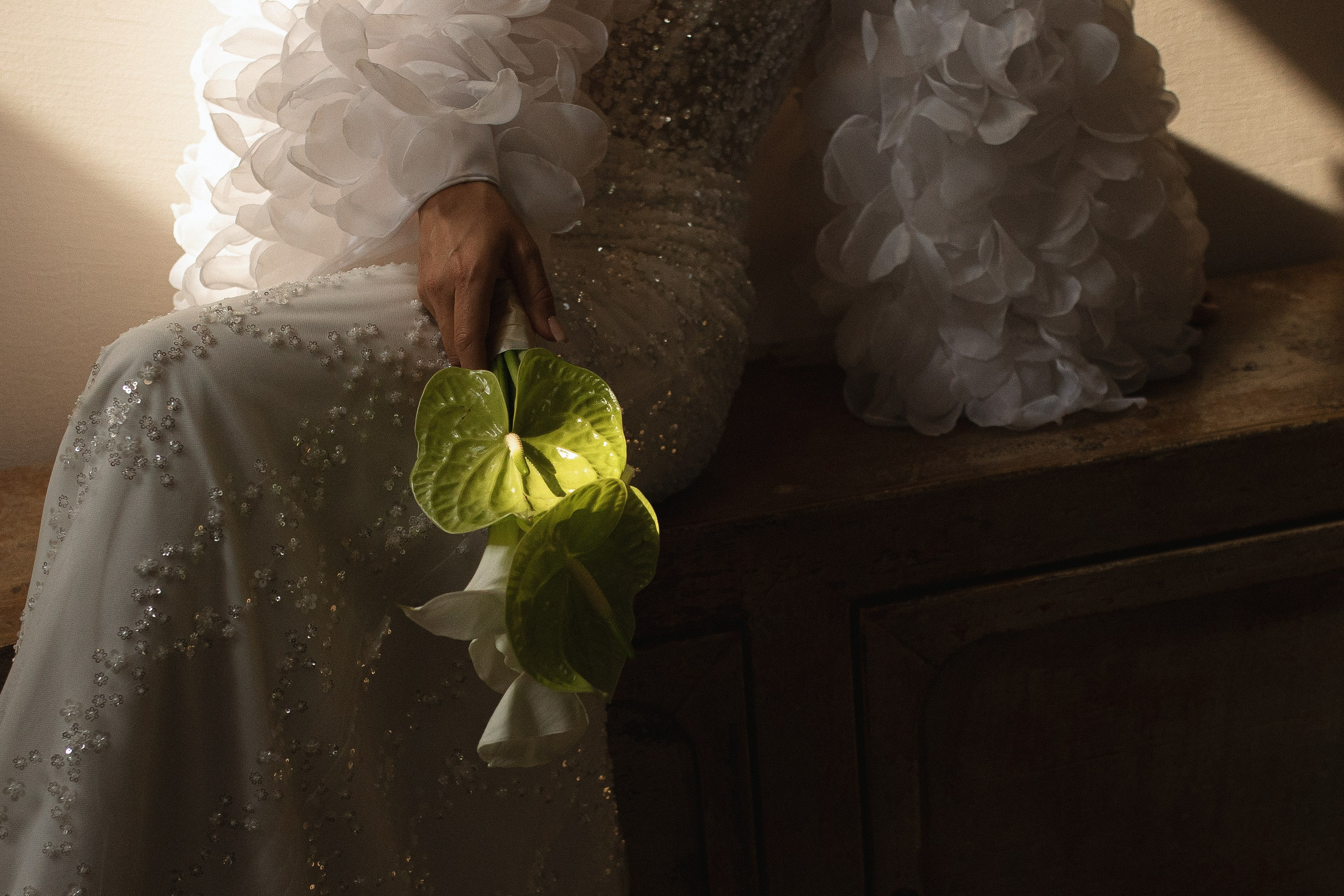 Фокус на свете. Фотограф Вышний Волочек/Тверь/Москва/Санкт-Петербург