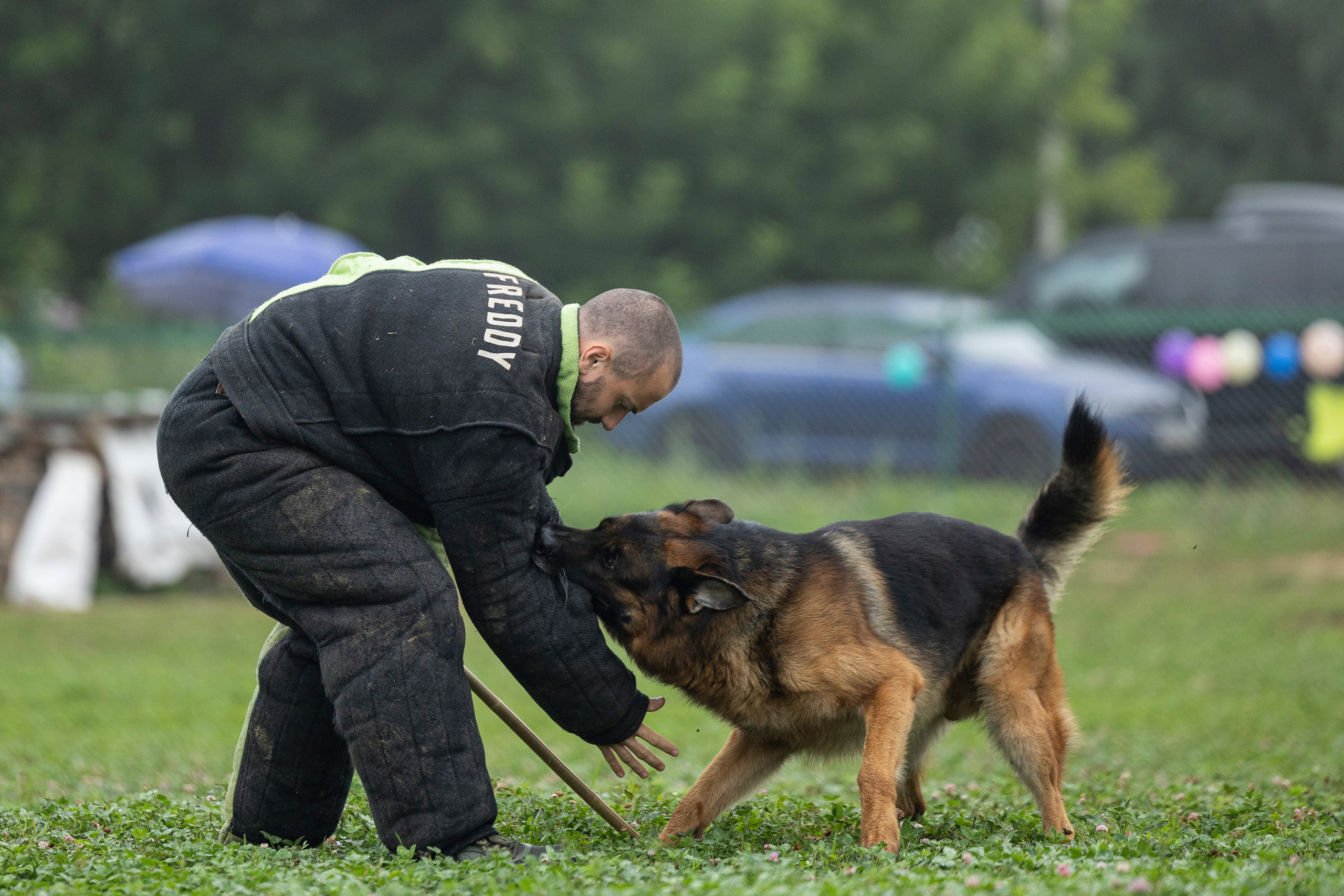 Соревнования по Мондьорингу г. Вологда 10-11.08.2024. Фотограф-анималист Анна Маринич