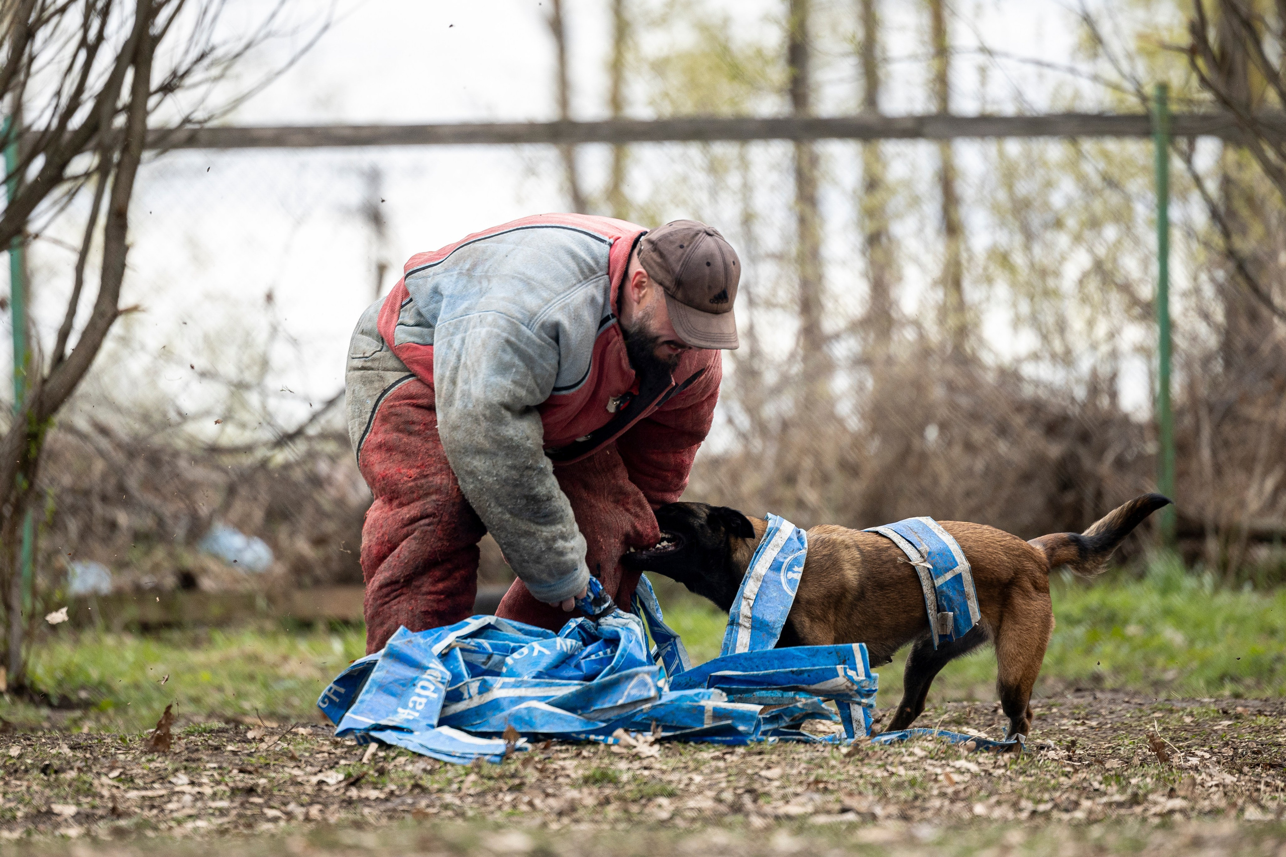 Квалификационные состязания по мондьорингу г. Вологда 11.05.24. Фотограф-анималист Анна Маринич