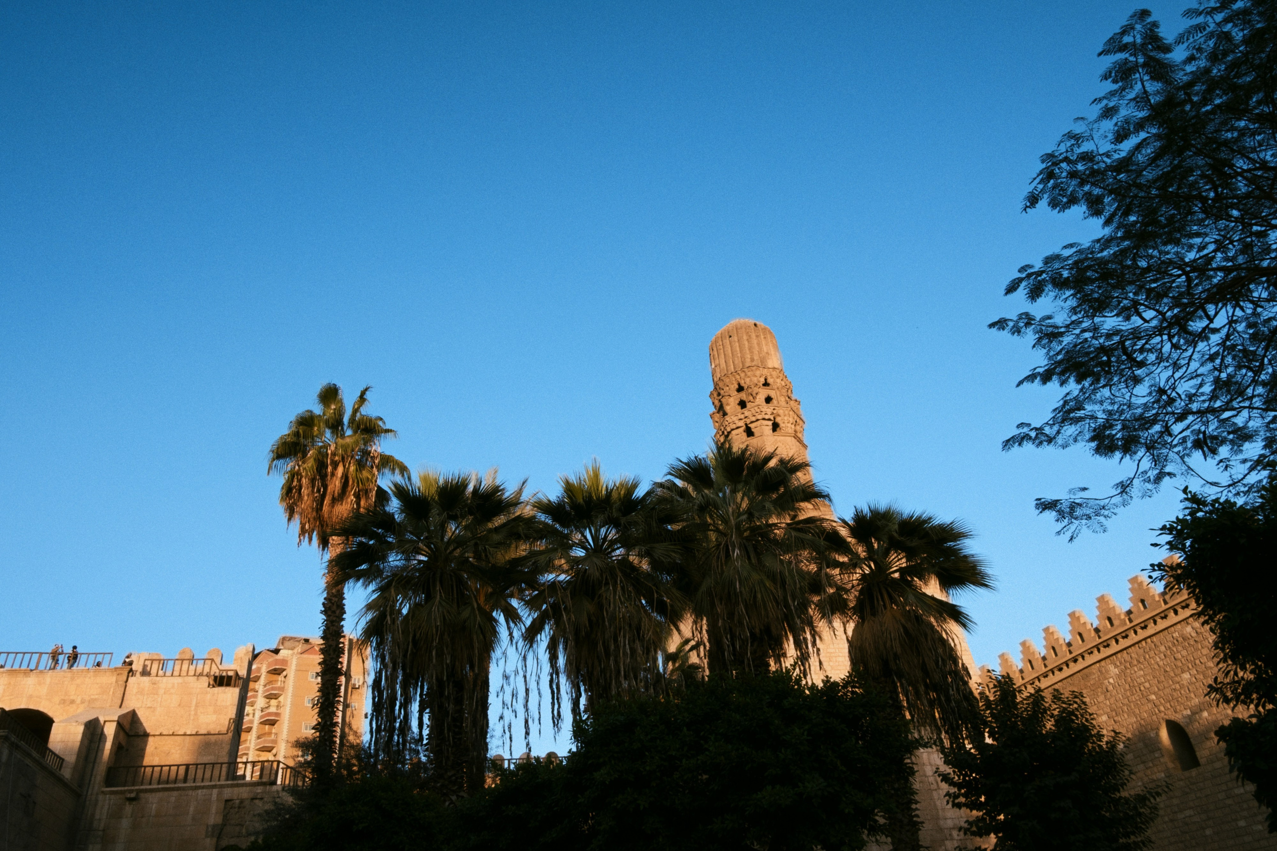 Cairo / Egypt AW25. Фотограф Юрин Евгений