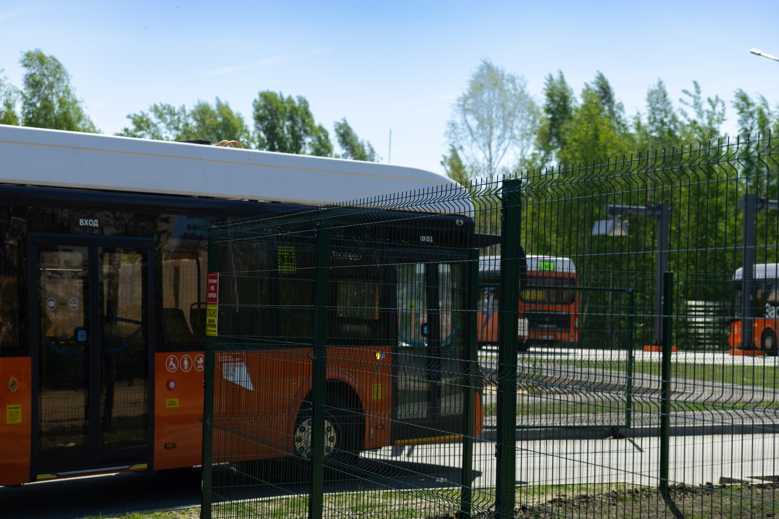Торпедо. Фотограф Мурманск | Нижний Новгород • Анна Хижняк