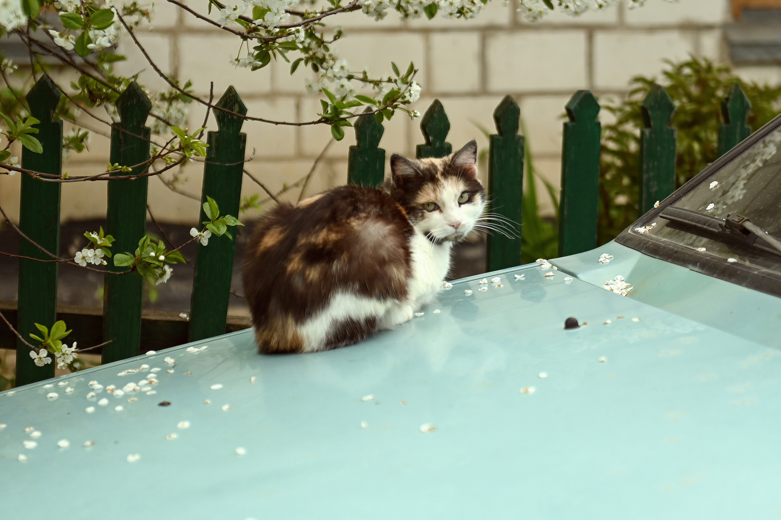 Евгений и Анастасия. Семейный и свадебный фотограф в Ельце Юлия Дякина