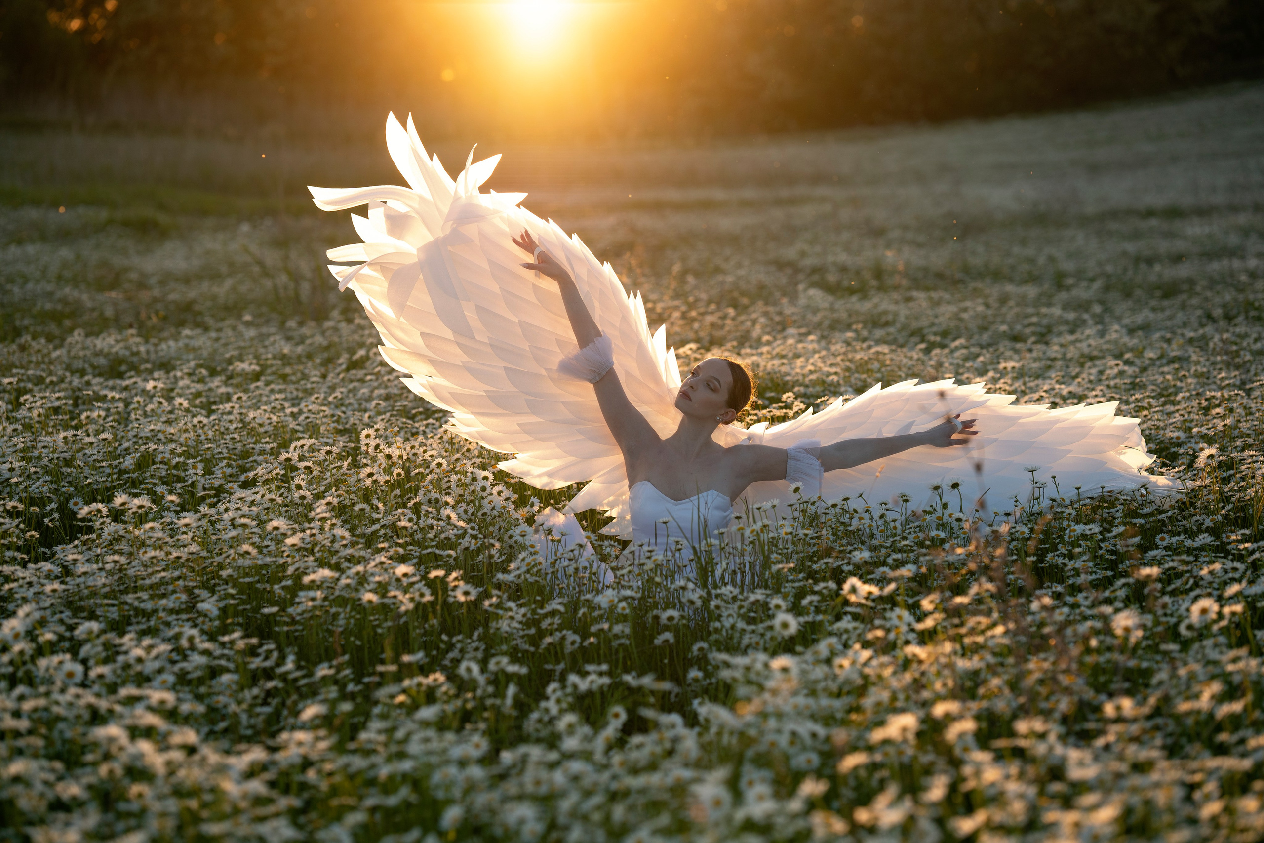 Крылья с подсветкой (3 т р). Фотограф в Крыму Лебедева Александра