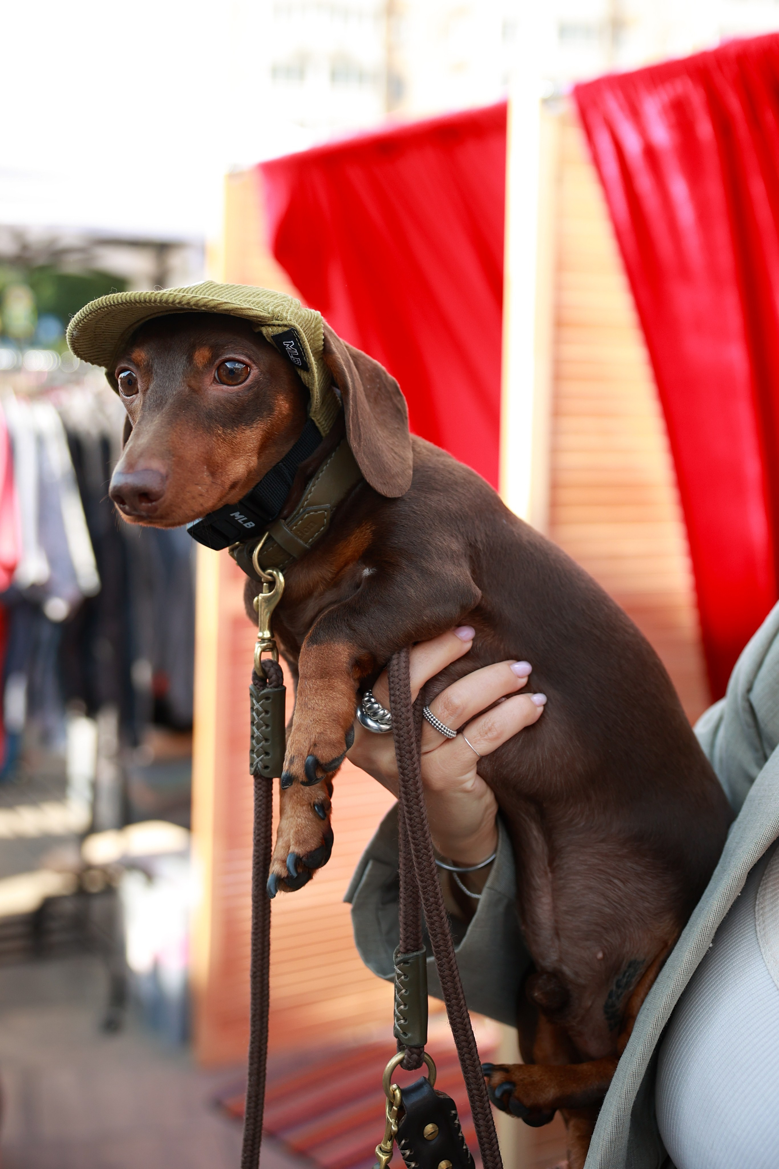 9–10 августа 2025 на Даниловском рынке / День 2 / фото Саша Жукова. Фотоотчеты «Ламбада-маркета»