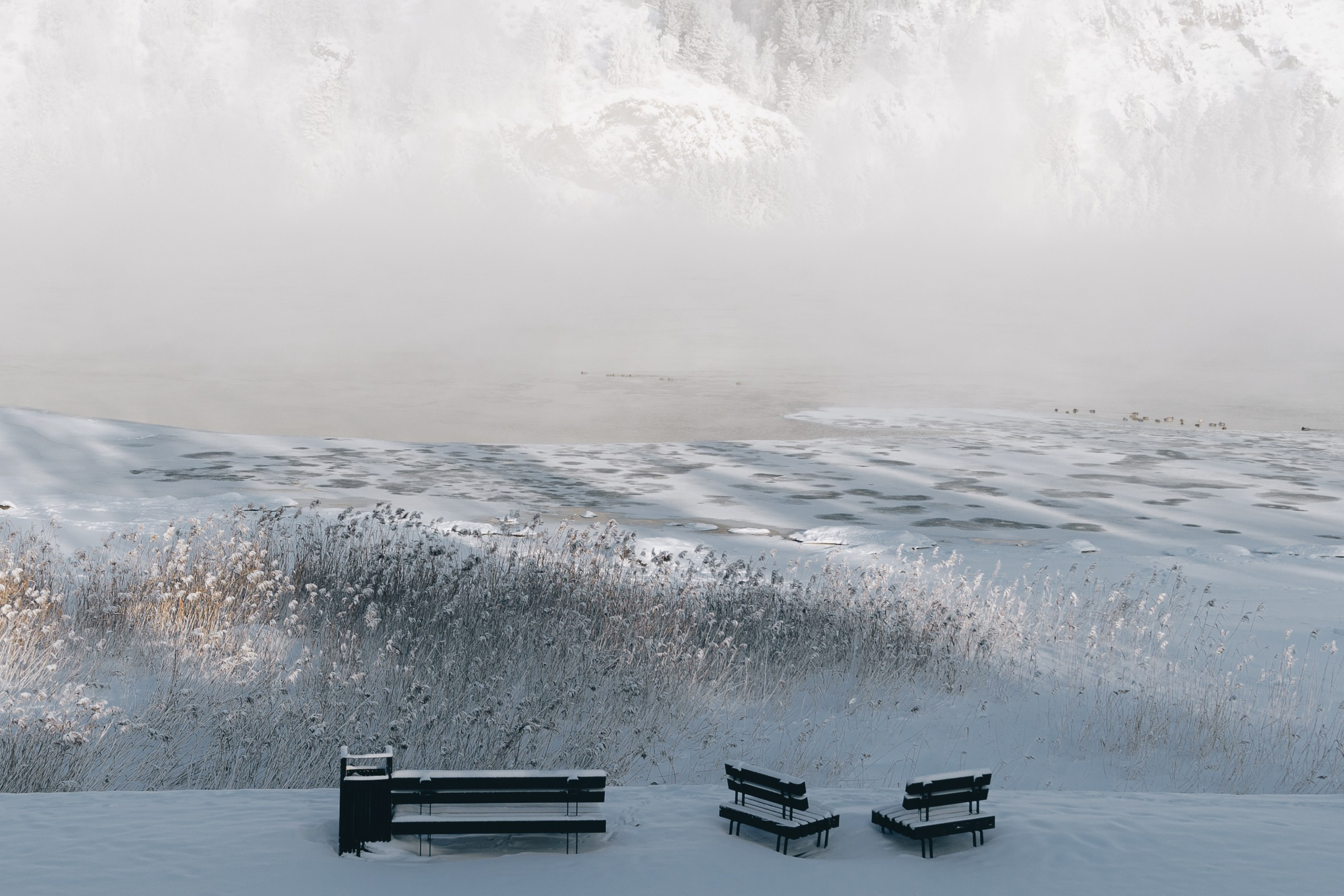 Гуляю то тут то там. Photographer Alik Melkonyan