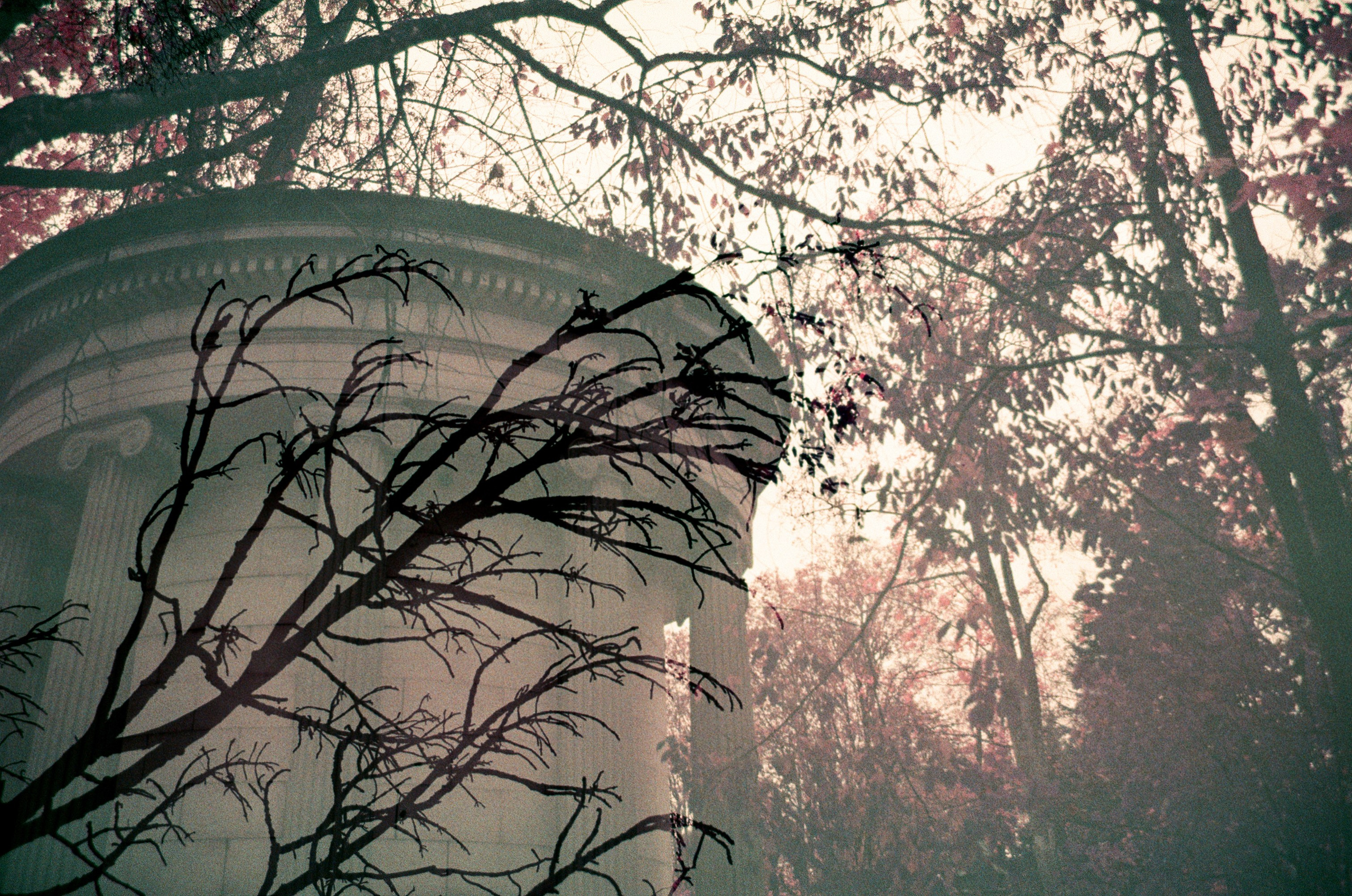 Lomochrome Purple. Варвара Цымбал