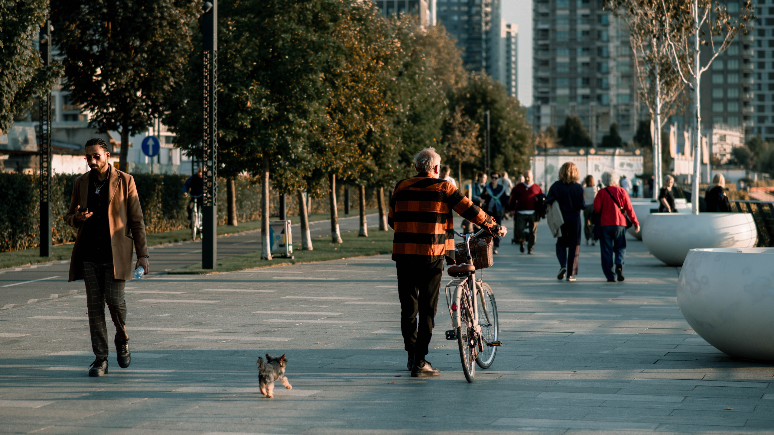 Белград, 2026. Фотограф-кинематографист в Москве и Подмосковье Марк Арсаков
