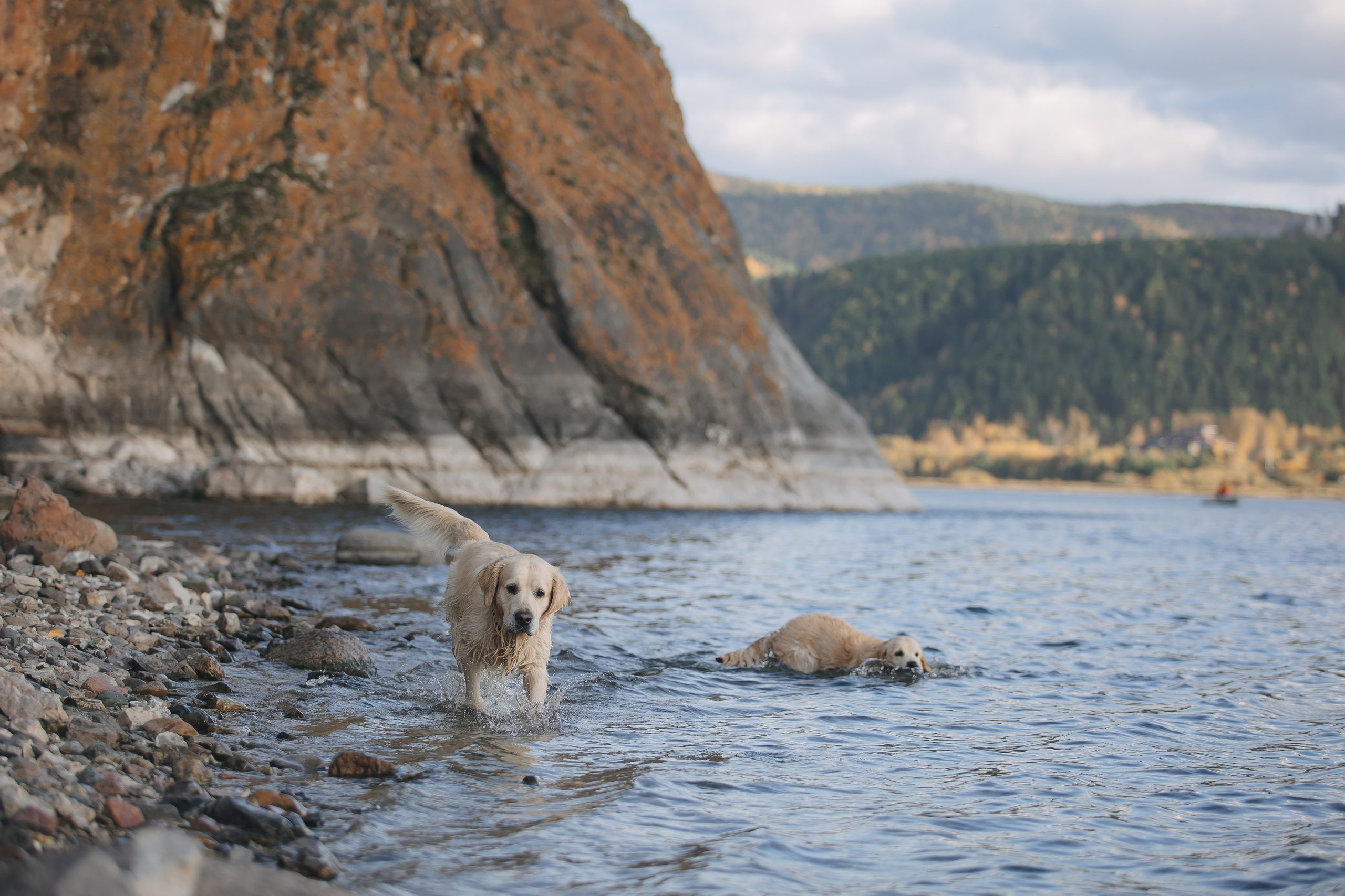 Снежик и Веста. Свадебный и женский фотограф