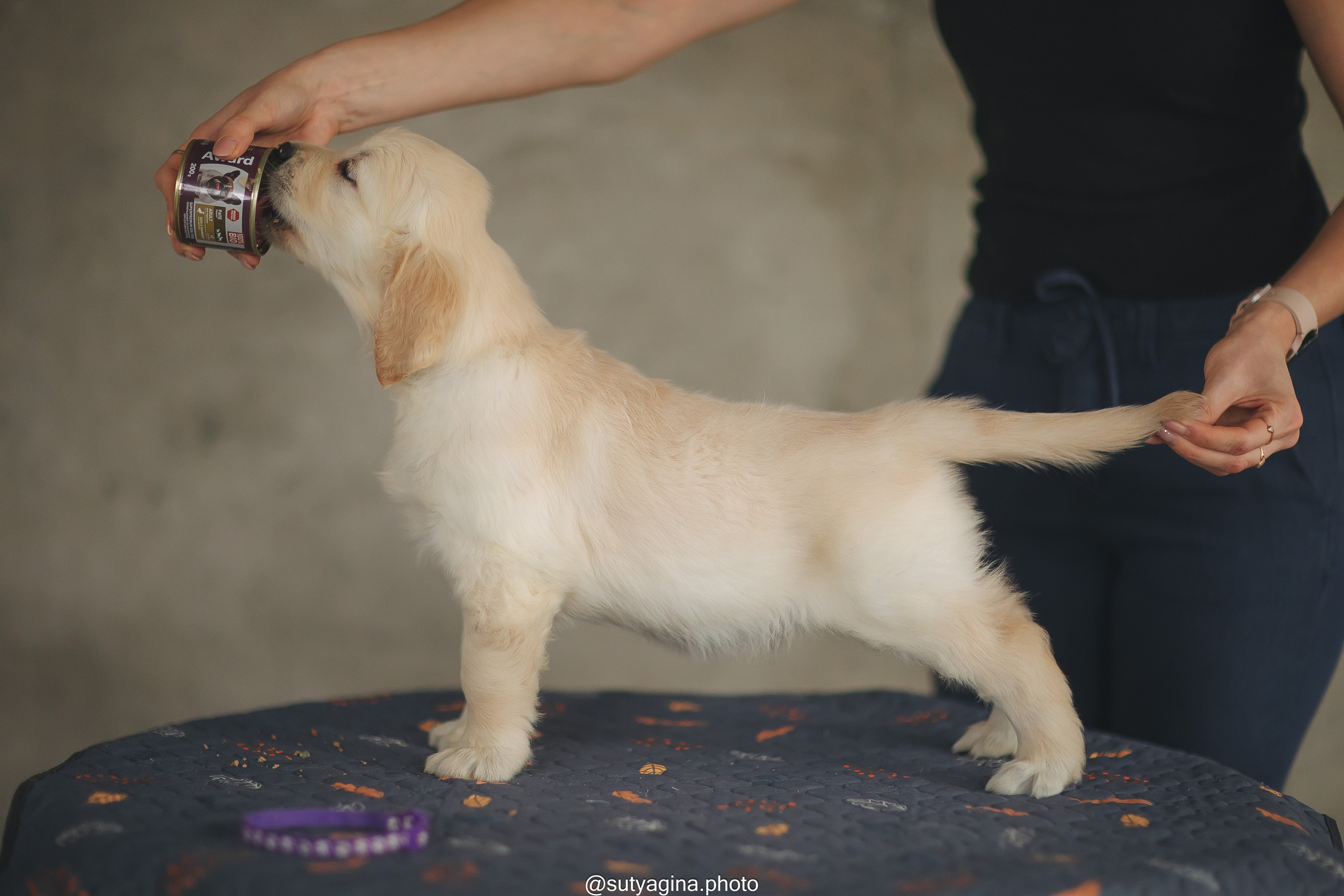Фиолетовая лента. Свадебный и женский фотограф