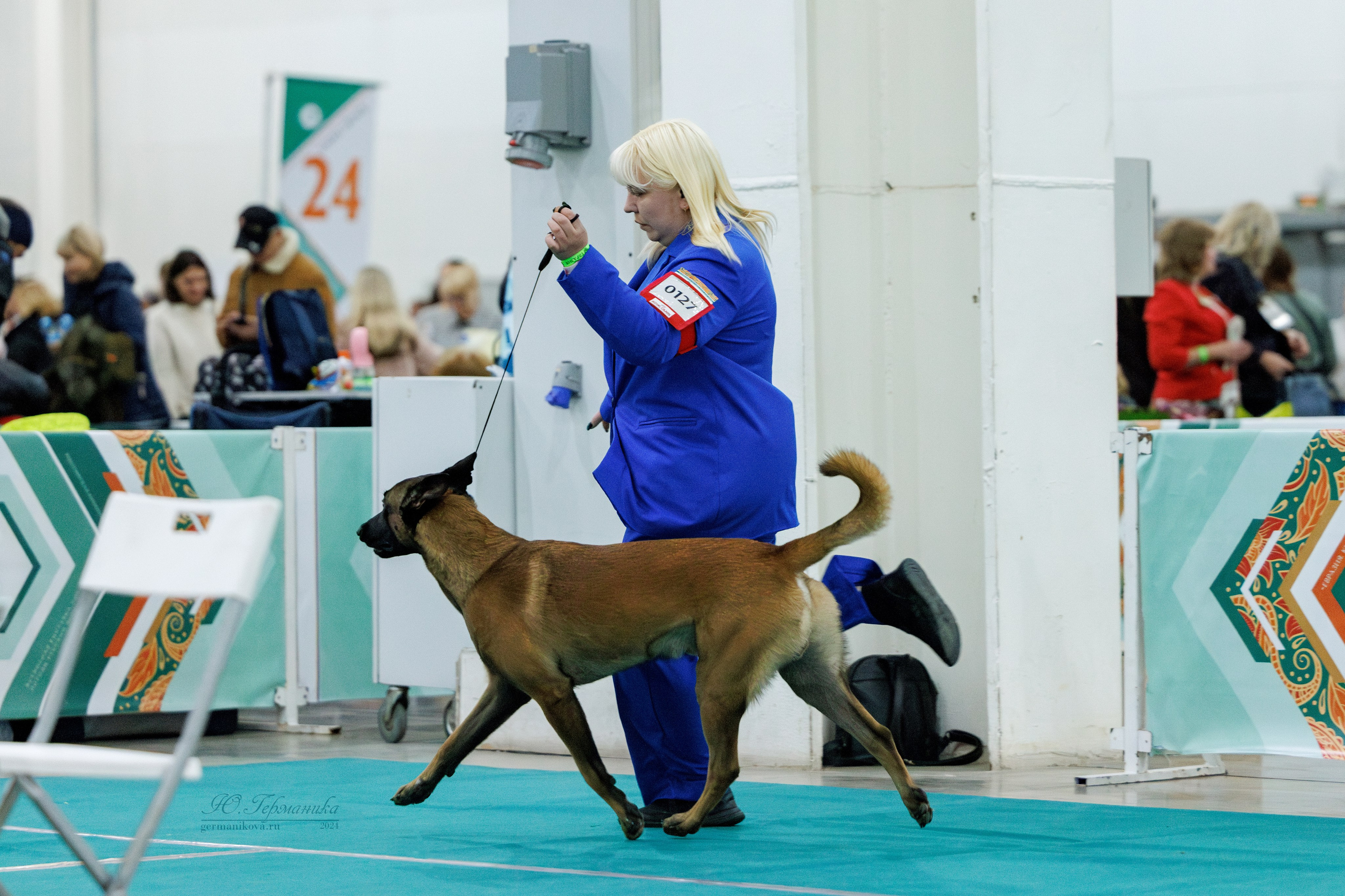 Евразия 16-17.11.2024. Фотограф-анималист Юлия Германика