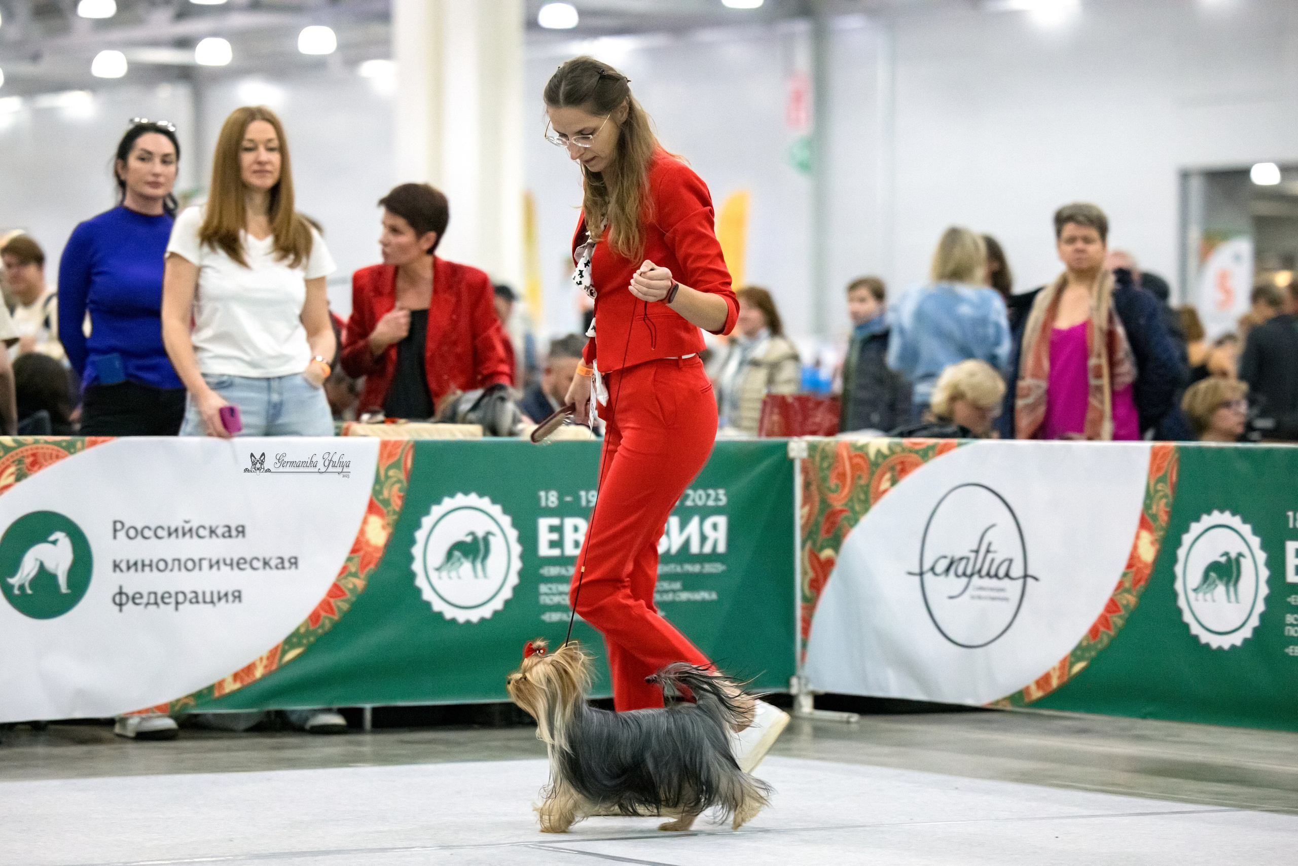 ЕВРАЗИЯ 18-19.11.2023. Фотограф-анималист Юлия Германика