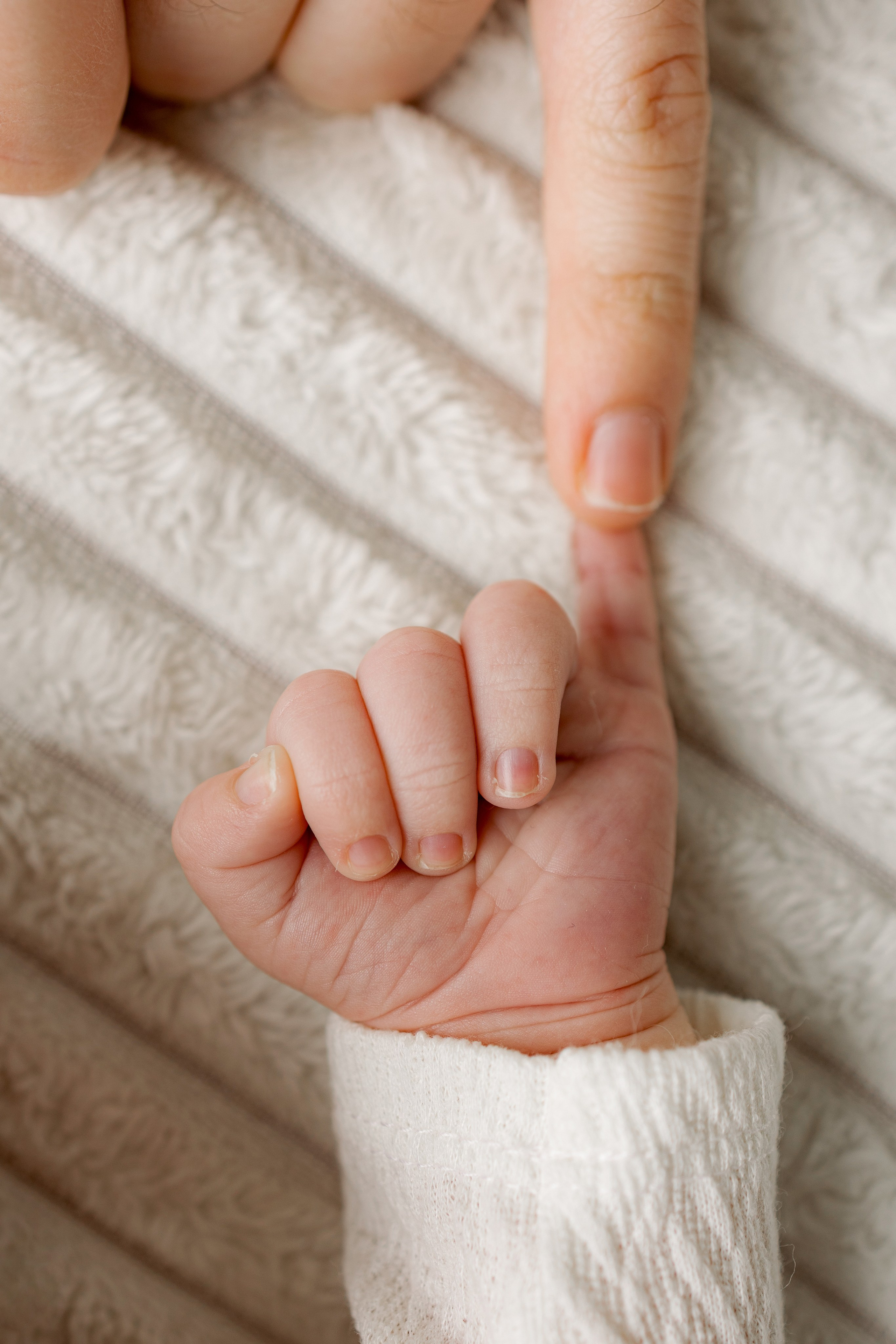 Илья. Фотограф новорождённых Newborn Москва
