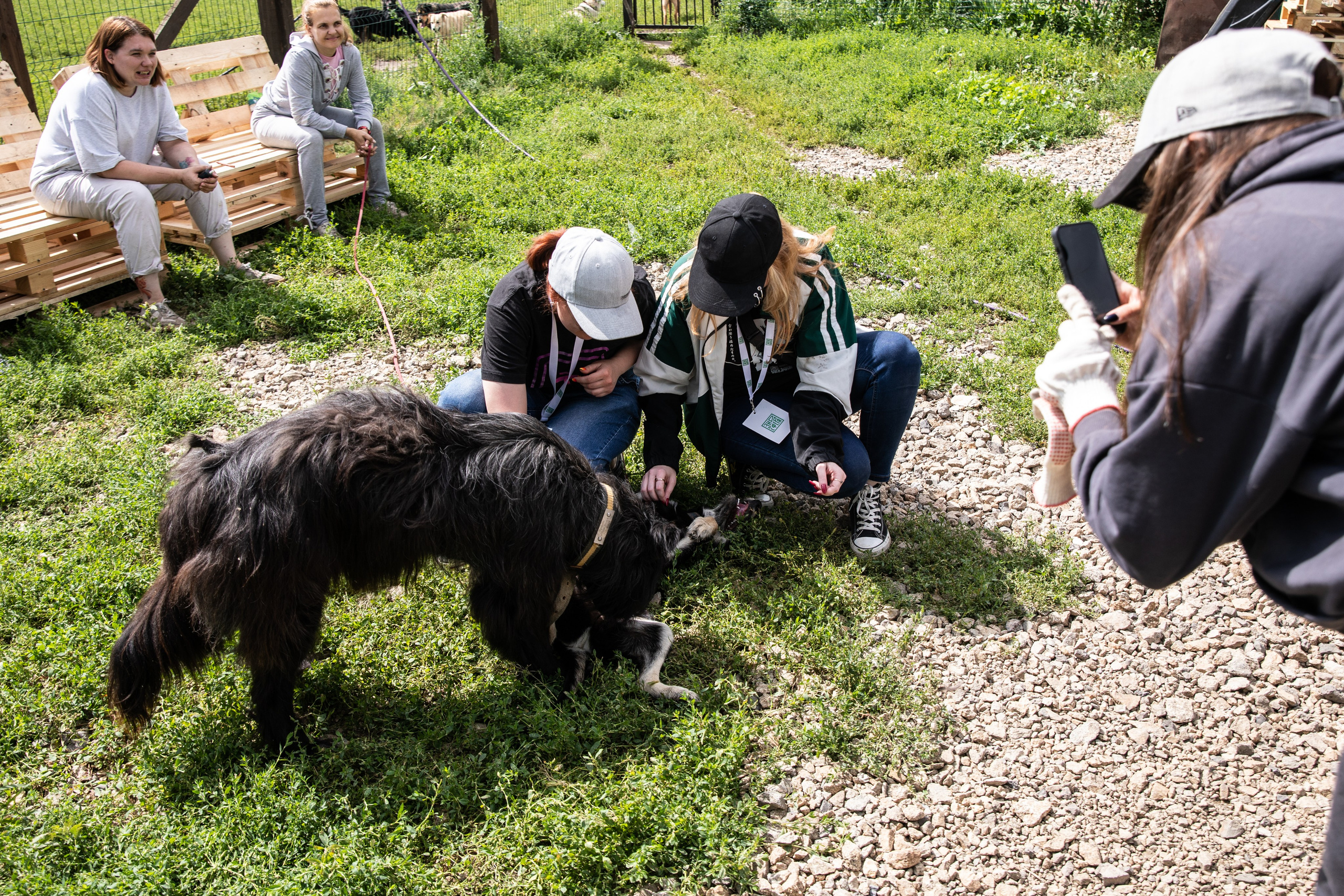 Приют — Наш дом. Репортажный и свадебный фотограф в Челябинске Елисеев Павел