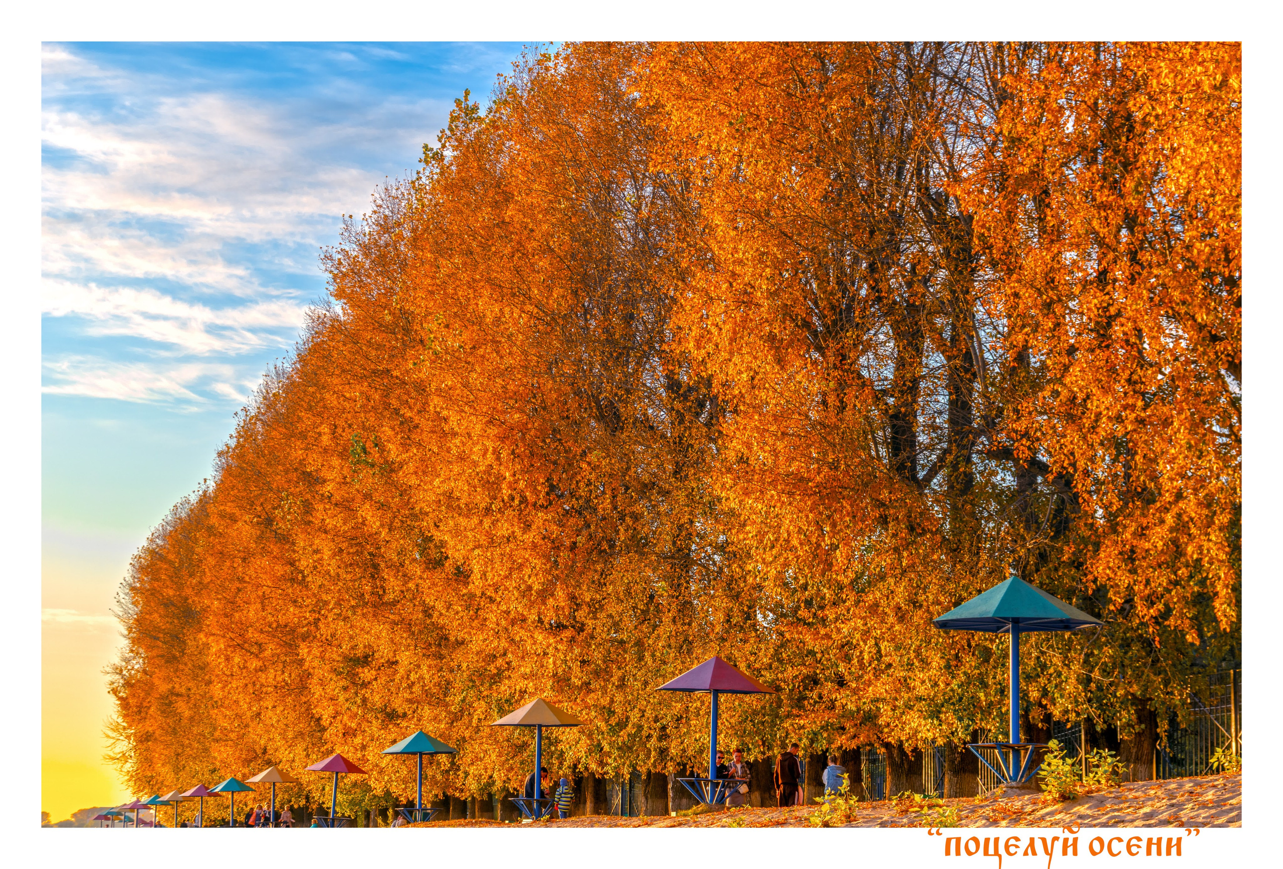 Уличное оформление на День города для центральной библиотеки имени Герцена. Тверь 890 лет. Фотограф — оформитель. Москва — Тверь