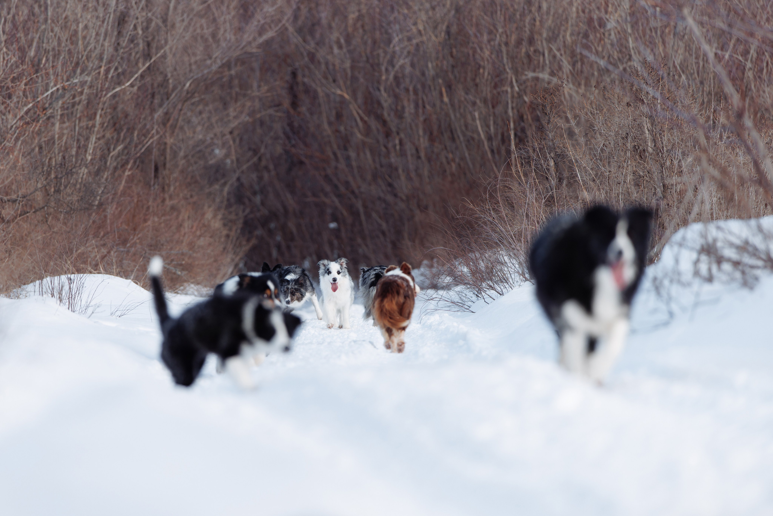 Яркий январь. О нас