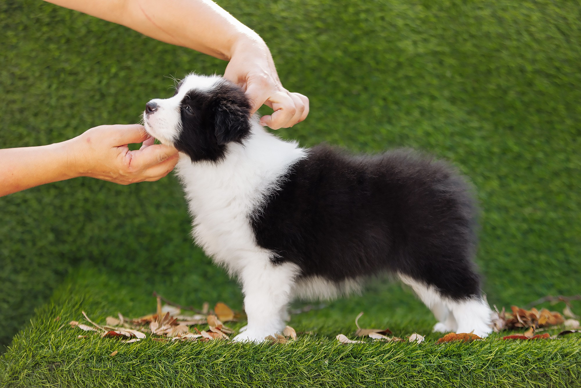 Новый лист. О нас