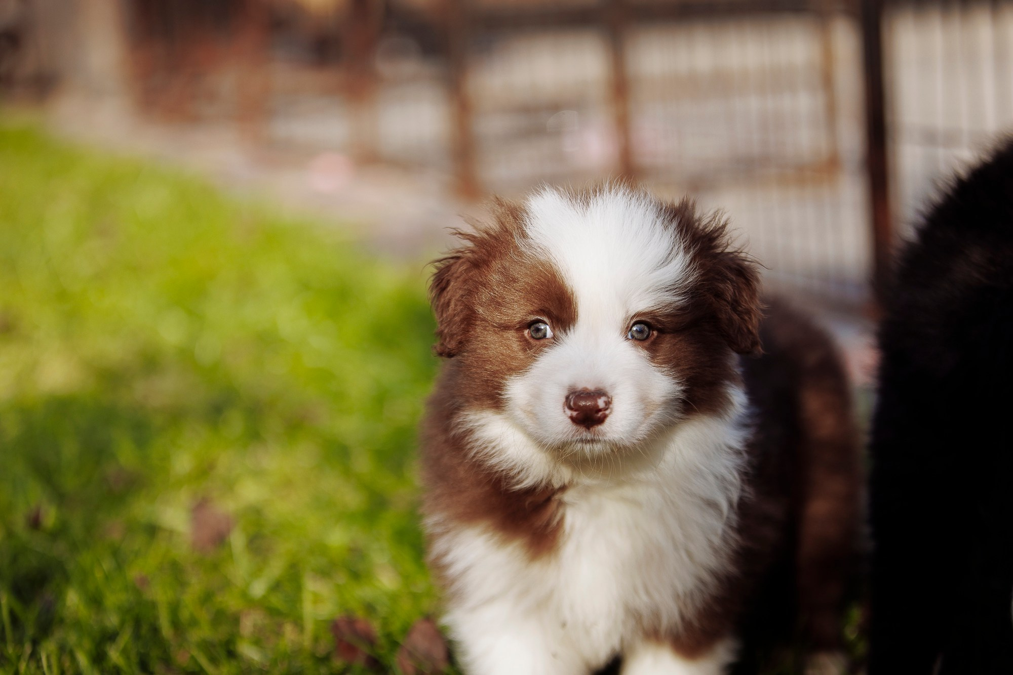 У дома с большой компанией от мала до велика. О нас