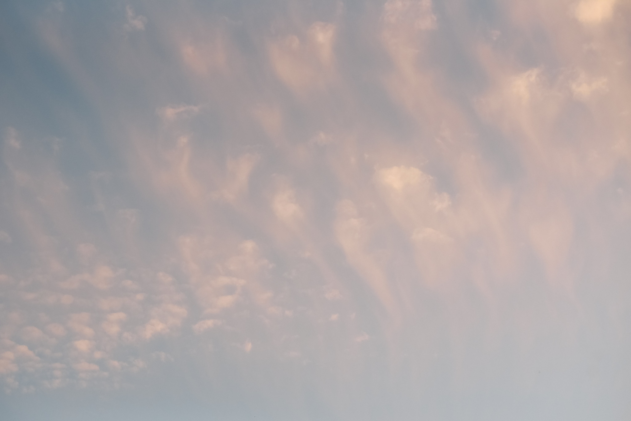 Когда дети были маленькими…. Детский и семейный фотограф в Новосибирске Саша Дорошенко