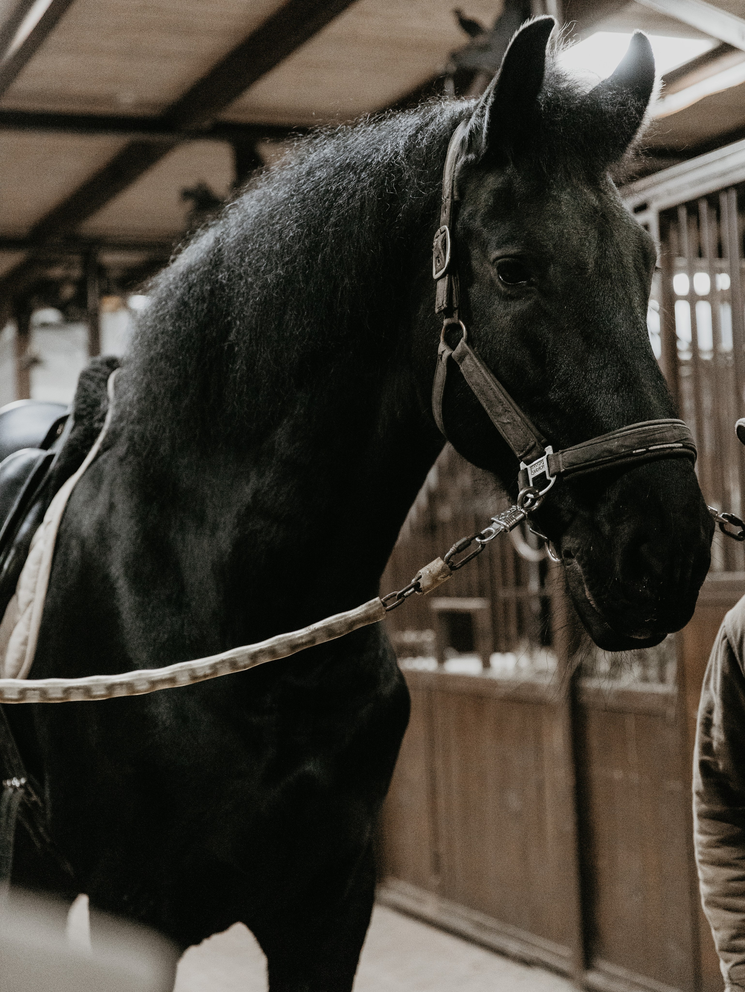 Ферма «Few Horses». Фотограф | портрет | бренды | репортаж