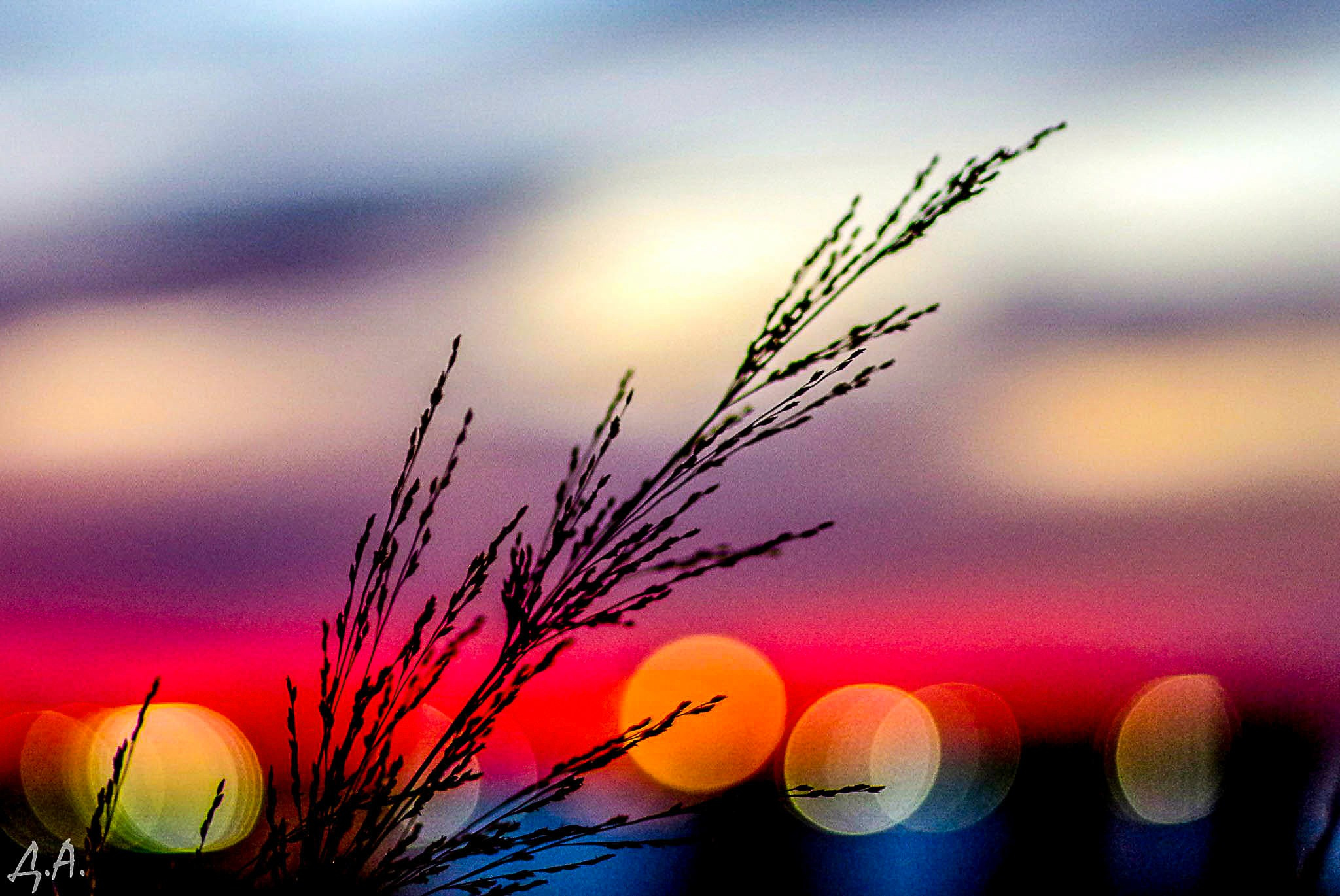 Пейзажи. Фотограф Дмитрий Алексеев