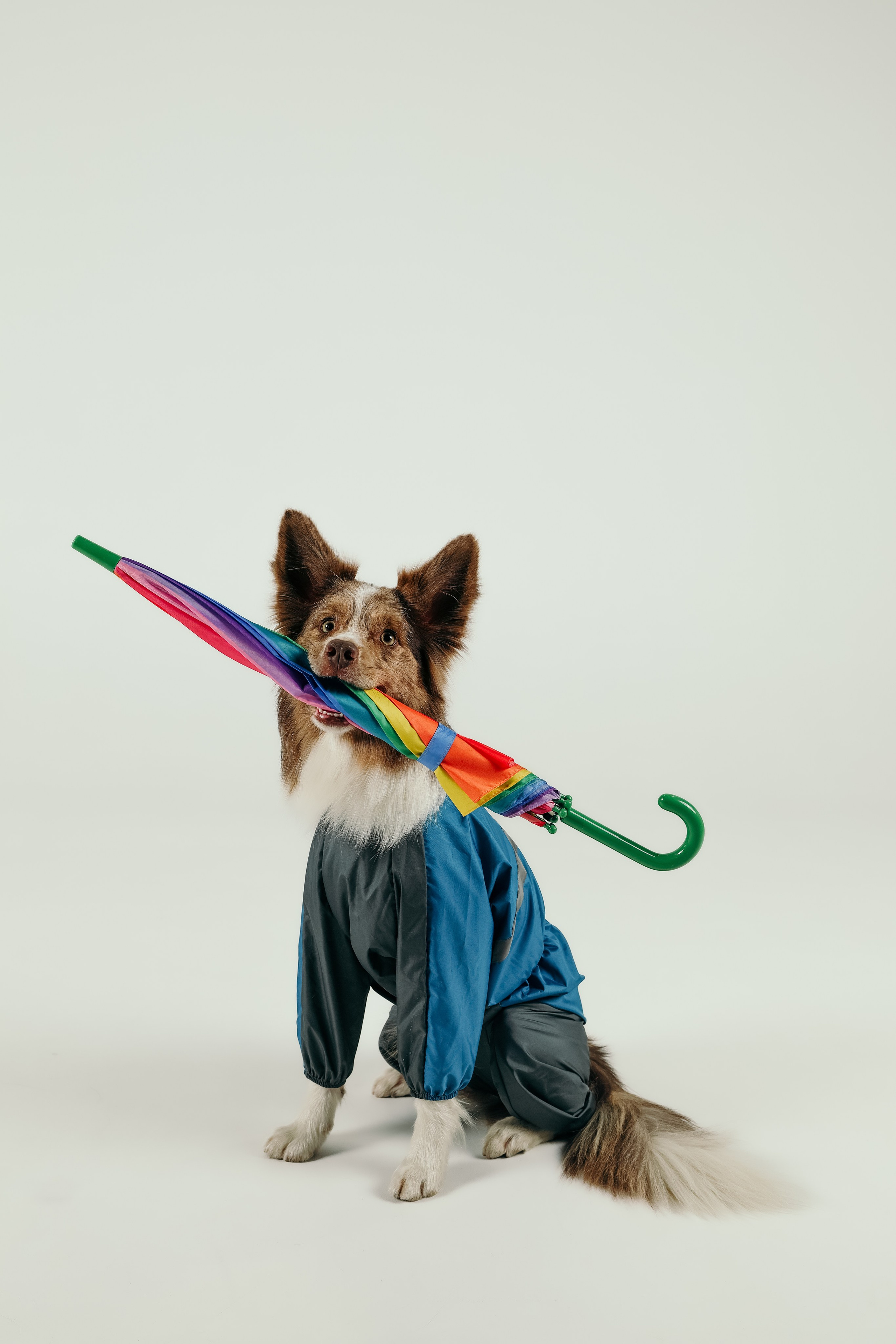 Для брендов. Фотограф- анималист Санкт-Петербург