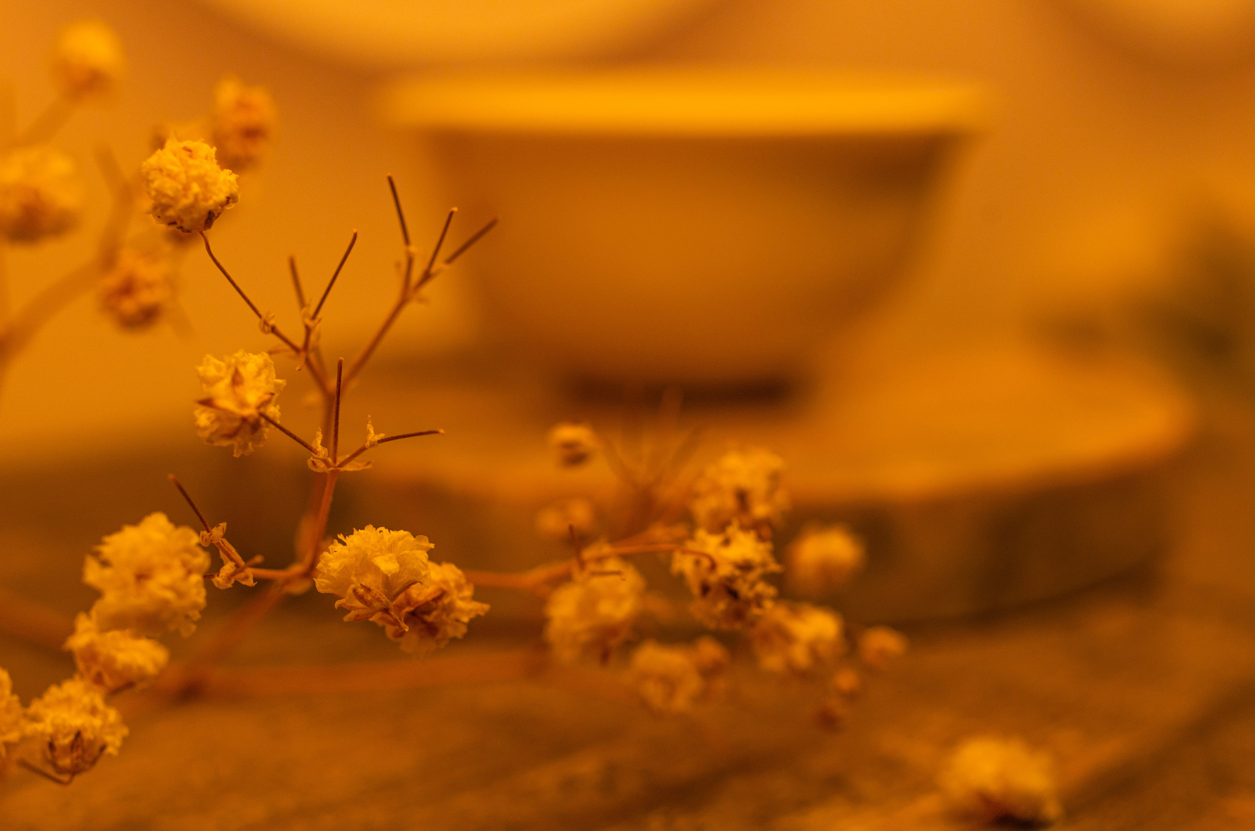 Интерьер и детали. Коммерческий фотограф в Москве Садовников Алексей